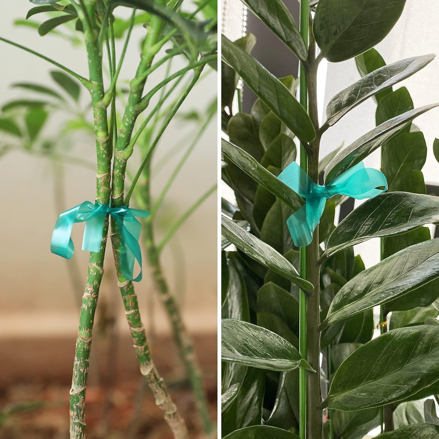 KINGLAKE GARDEN Stretch Tie Tape Roll-2 Rolls Total 295 Feet 1/2" Green Plant Garden Tie for Branches, Climbing Planters, Flowers image number 2