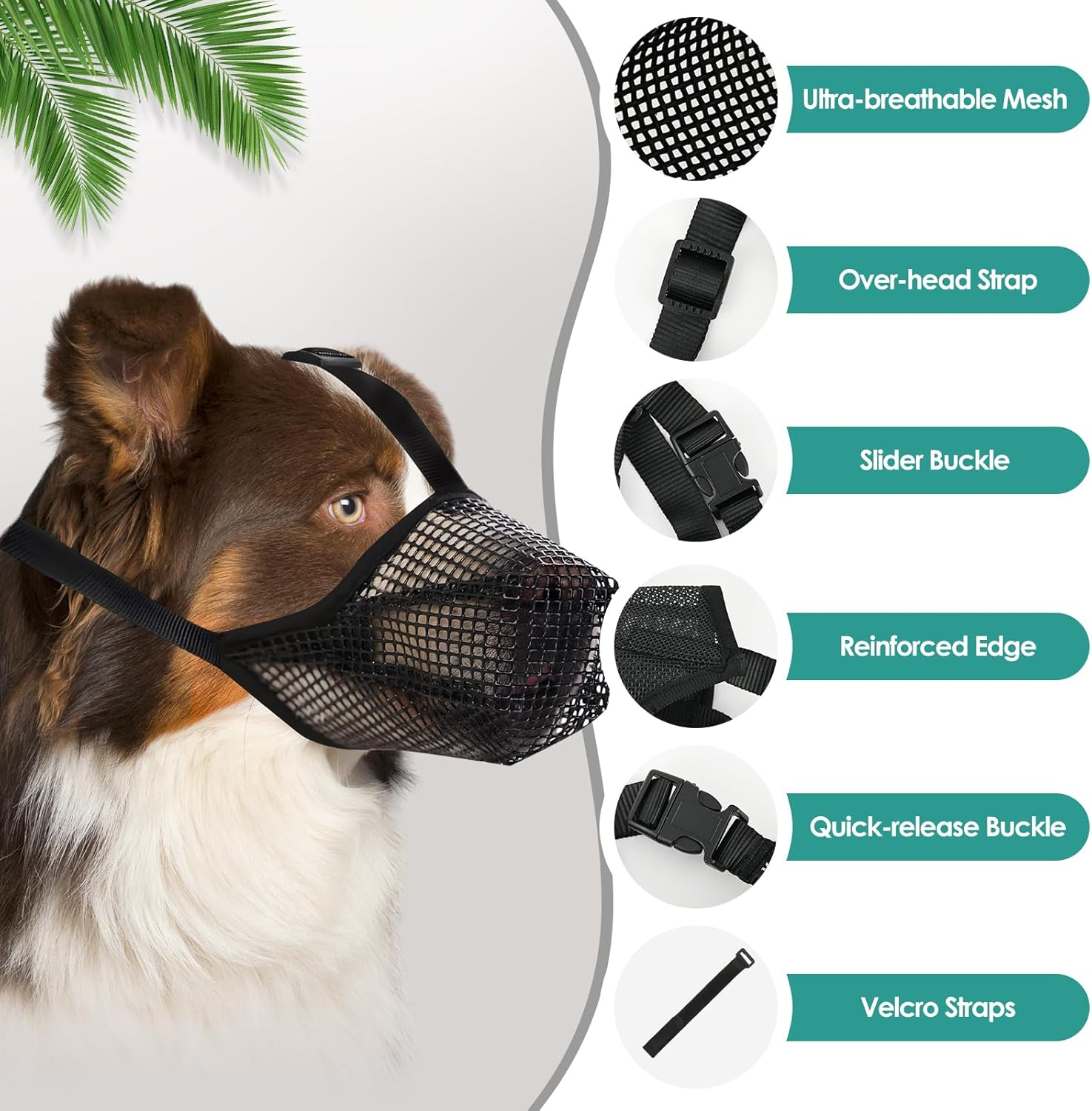 2Pcs Muzzle for Dogs, Breathable Mask PE Material, Soft/Mesh/Breathable/Adjustable, Prevents Biting, Chewing Barking, Suitable for Running Small, Medium, Large Dogs, L (M) image number 3