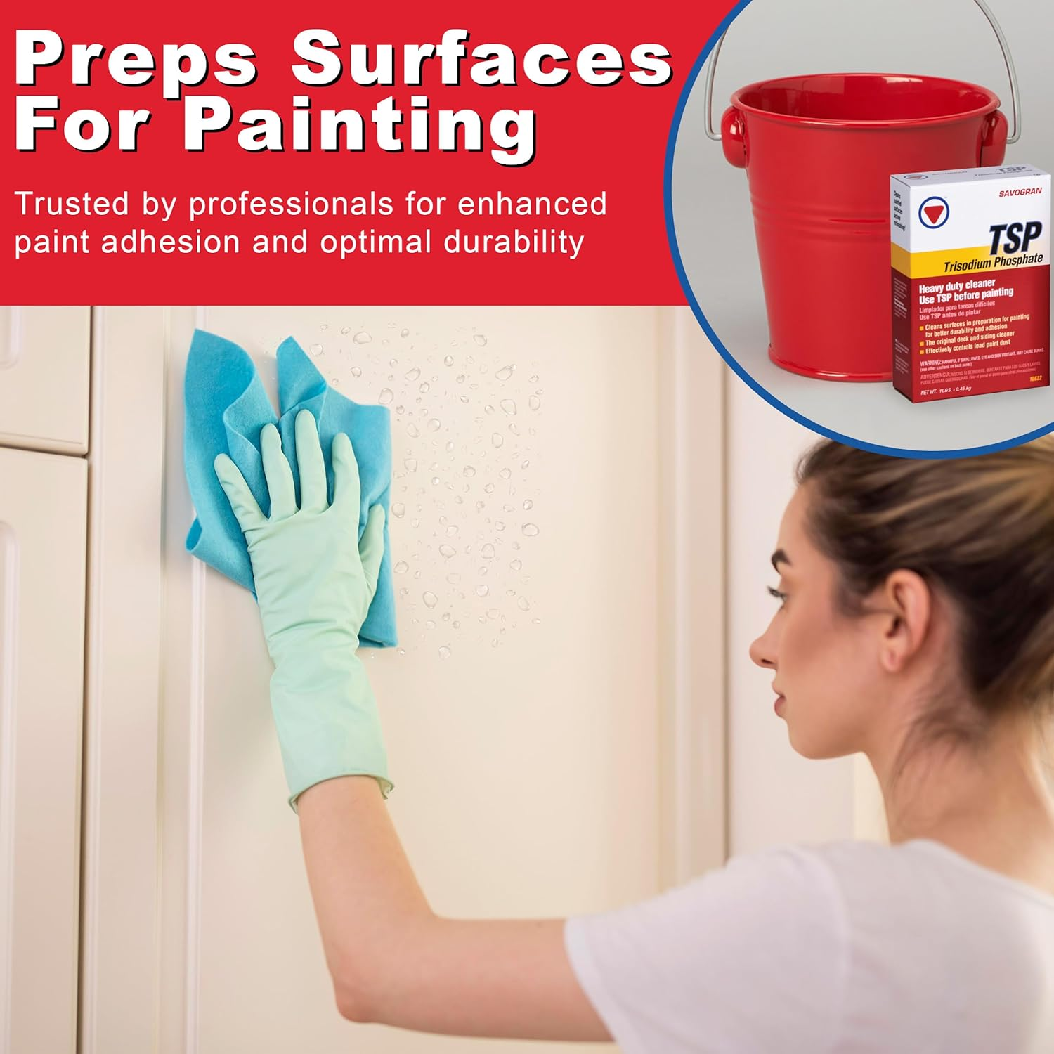 Savogran 10621 Trisodium Phosphate (TSP)