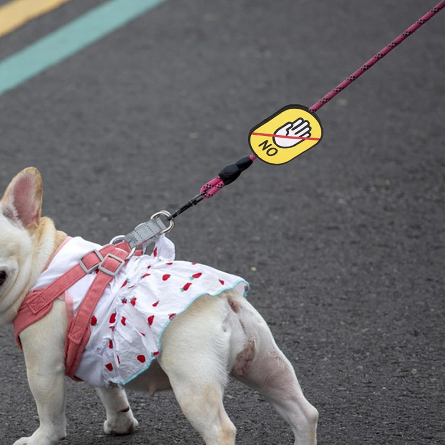 2Pcs/Set Outdoor Pet Dog Social Identity Badge, Dog Funny ID Tags Patch, Tear Resistant Dog Social Recognition Decals,Removable Waterproof Pet Social Labels for Dog Lover(No Touch+Danger) image number 4