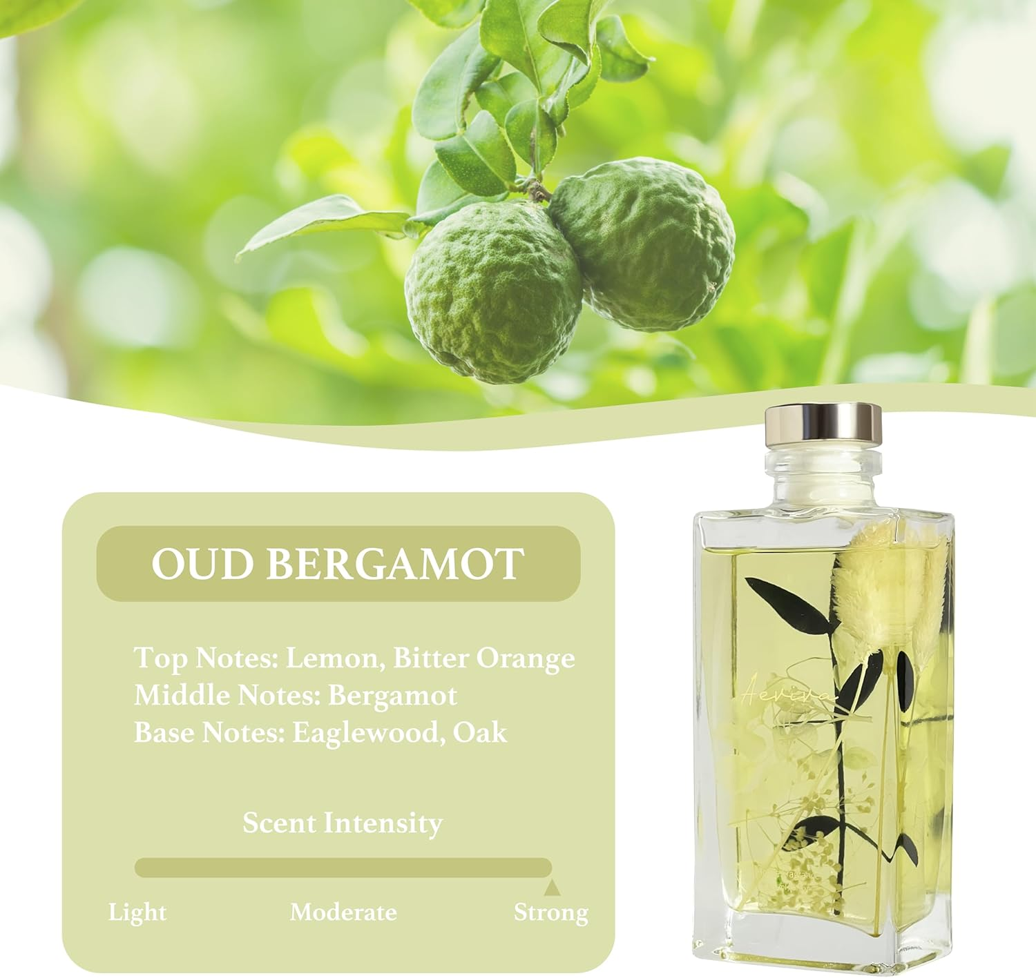 Reed Diffuser Set, 5 Fl Oz Glass Bottle Oud Bergamot Scent Oil Diffuser, Home Fragrance with Reed Sticks for Bedroom, Office, Bathroom Shelf Decor & Gifts image number 2