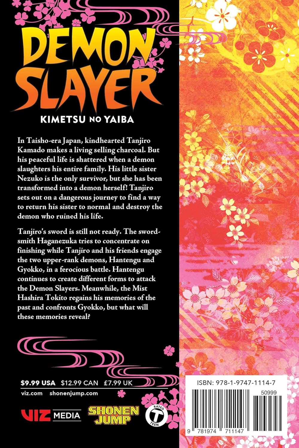 Demon Slayer: Kimetsu No Yaiba, Vol. 14: Volume 14 image number 1