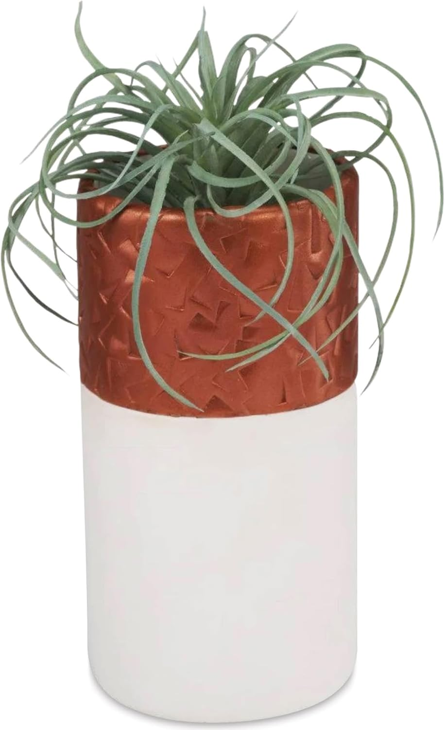 Polyform PEMP-024 Sculpey/Premo- Sampler Pack- 24 Bars X 1Oz Polymer Clay Accessory, Pack of 24 image number 1