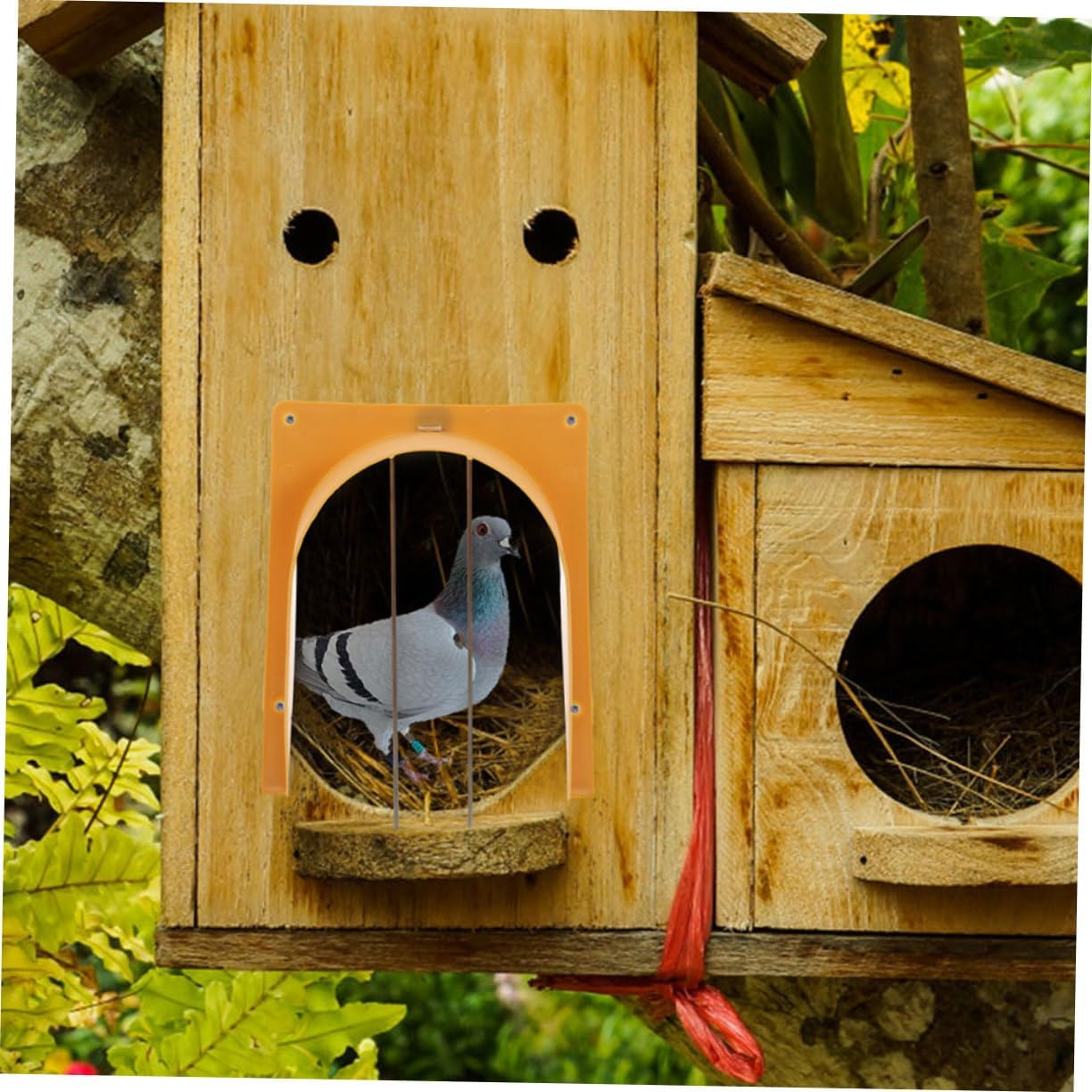 Ifundom European Style Pigeon Cage Door Entrance with One-Way Anti-Escape Design Plastic and Stainless Steel Bird Racing Accessory for Secure Dove Housing image number 6