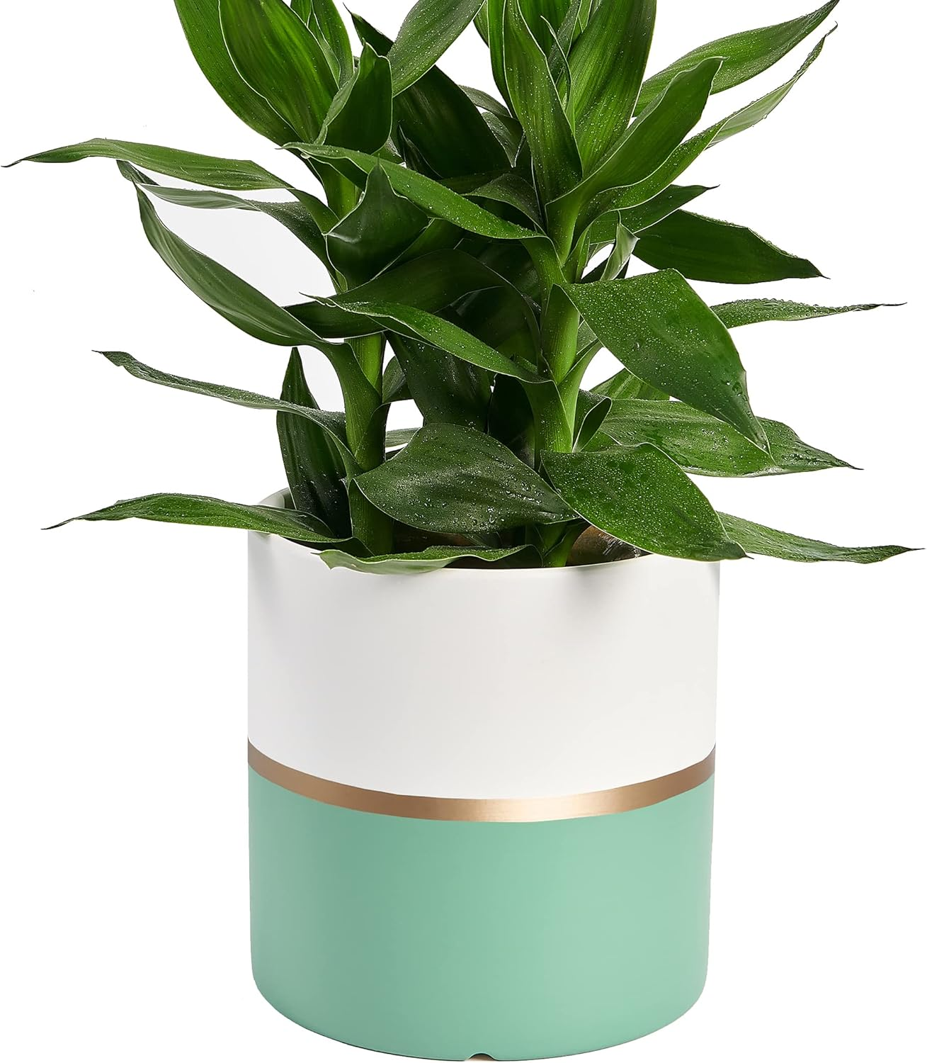 Planter Plant Pots Indoor - 6.7 Inch Modern Ceramic Flower Pot with Drainage Hole for Home Office Decoration (White Black)(Plant Not Included)
