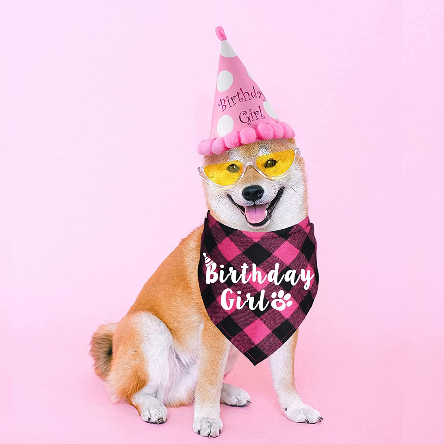 Plaid Dog Bandanas for Birthday Party Supplies (Blue and Pink) - Blue image number 7