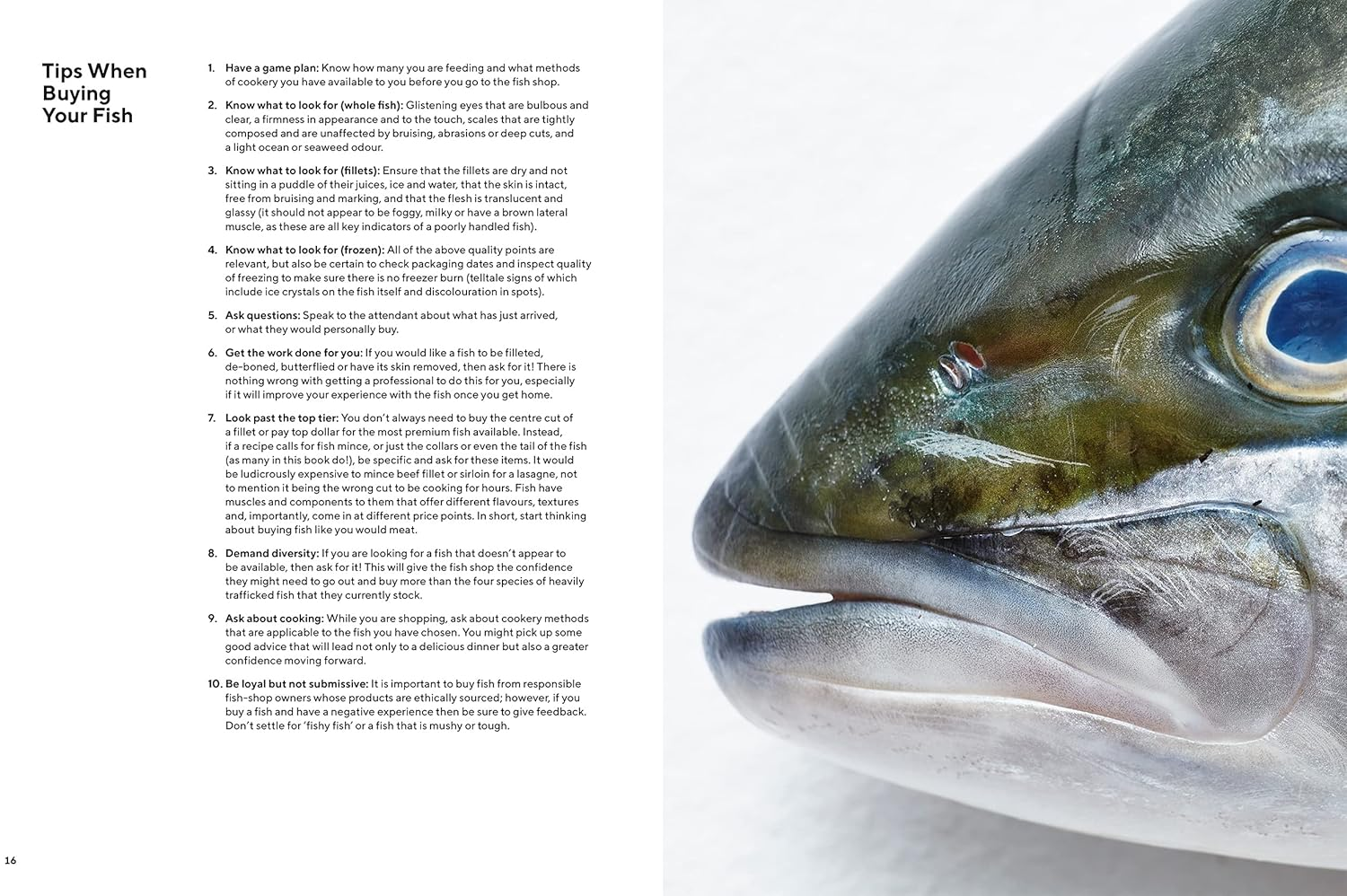 Take One Fish: the New School of Scale-To-Tail Cooking and Eating image number 4