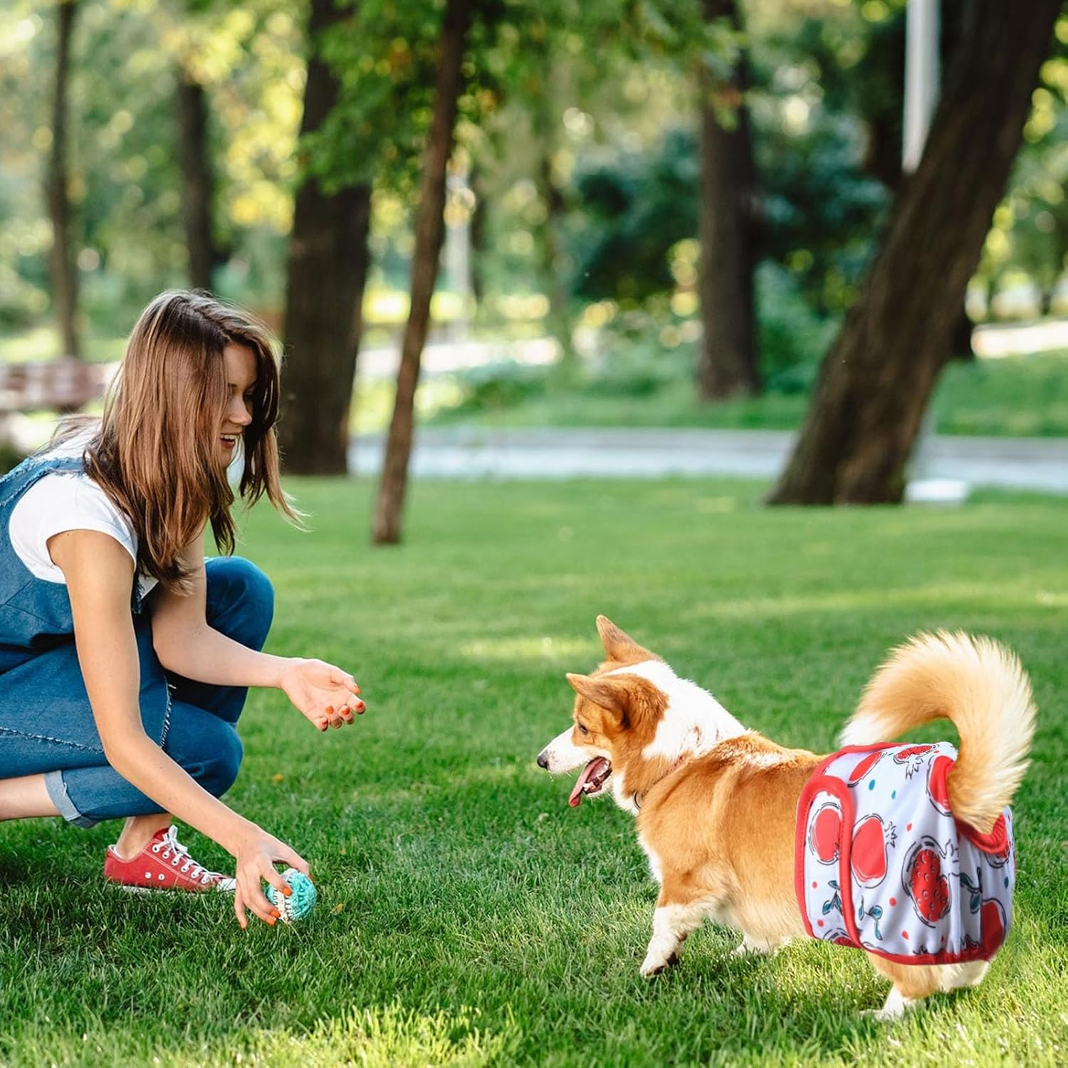 Larfraecy Washable Female Dog Nappies 3Pcs Super Absorbent Puppy Sanitary Wrap,Stylish Strawberry,Watermelon & Kiwi Prints,Comfortable and Adjustable,For Dogs in Heat,Postpartum Care,Travel image number 4