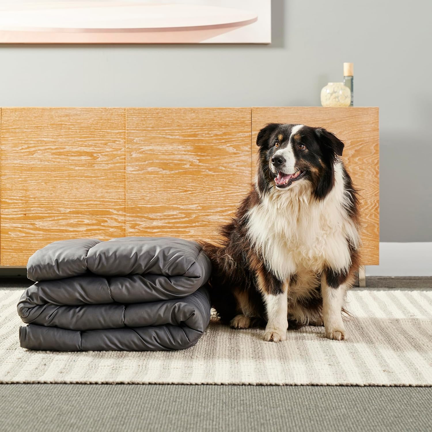 Tontine Doggy Doona&reg;, Quilt/Duvet/Blanket for Dogs Cats Pets, Single Size 140X210Cm, Use on Dog Bed, Couch & Sofa, Floor Mat, Car Seat, Antibacterial Treatment, Machine Washable. Australian Made image number 2