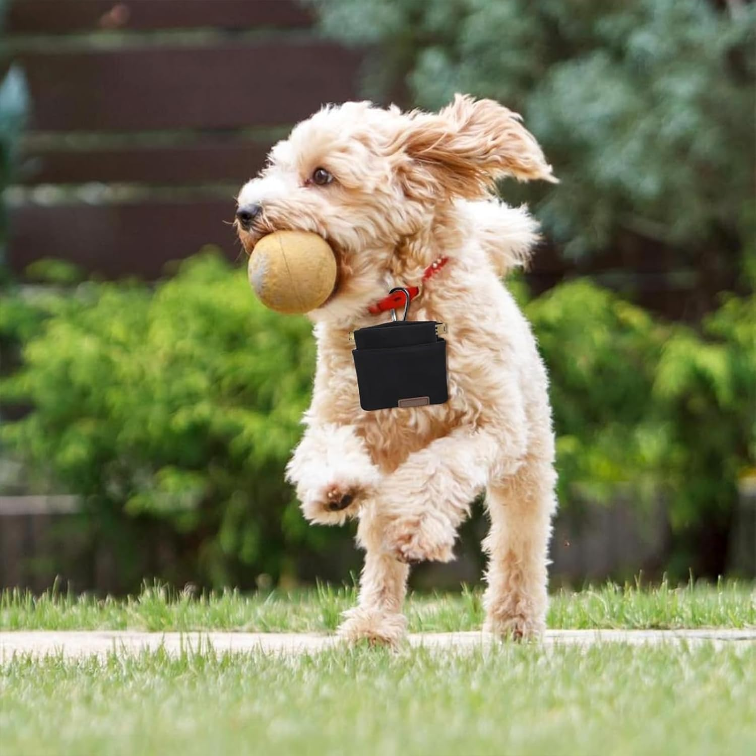 Yeanifeana 2-Pack Dog Treat Bags with Carabiner Clips, Auto-Closing Leak-Proof Pet Training Pouch, Hands-Free Dog Walking Accessories for Outdoor Hiking, Puppy Travel & Daily Training image number 2