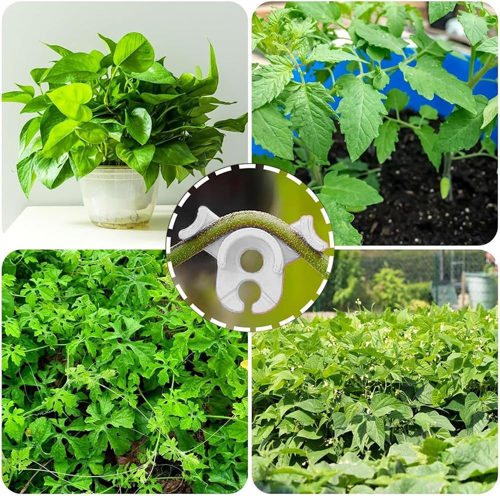 FUNNTY 30 Pcs 90 Degree Plant Training Clips,Bud Plant Bender Plant Training Clips,Lst Clips for Low Stress Training Plant Stem Support,Plant Gardening,90 Degree Angle Plant Clips(Circle Style,White) image number 2