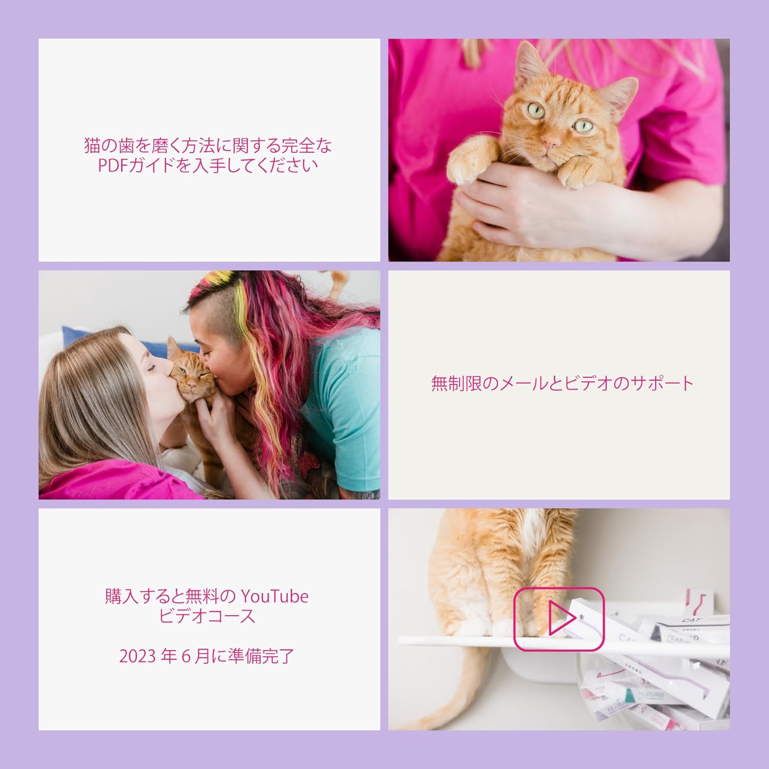 RYERCAT Dual Sided Cat Toothbrush - Kitten Toothbrush with Micro Head to Fit into Cat/Kittens Mouth - Cat Dental Care Supplies - Pet Toothbrush for Cats(Lavender Purple) image number 5