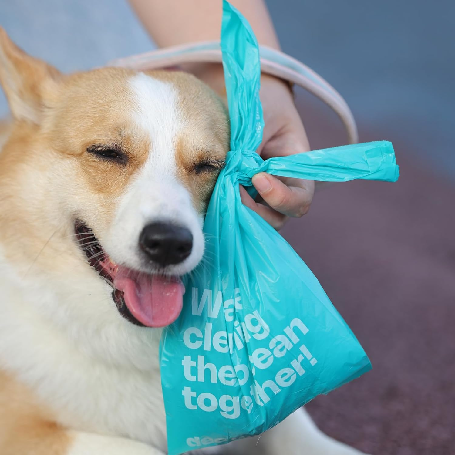 Deo Doo Dog Poop Bags with Handles 100% PCR from Ocean 12 Rolls 144 Counts Big Sizes Leak Proof and Extra Thick Waste Bags Refill Rolls for Walking Small Medium Large Dogs Cats Litter Unscented image number 3