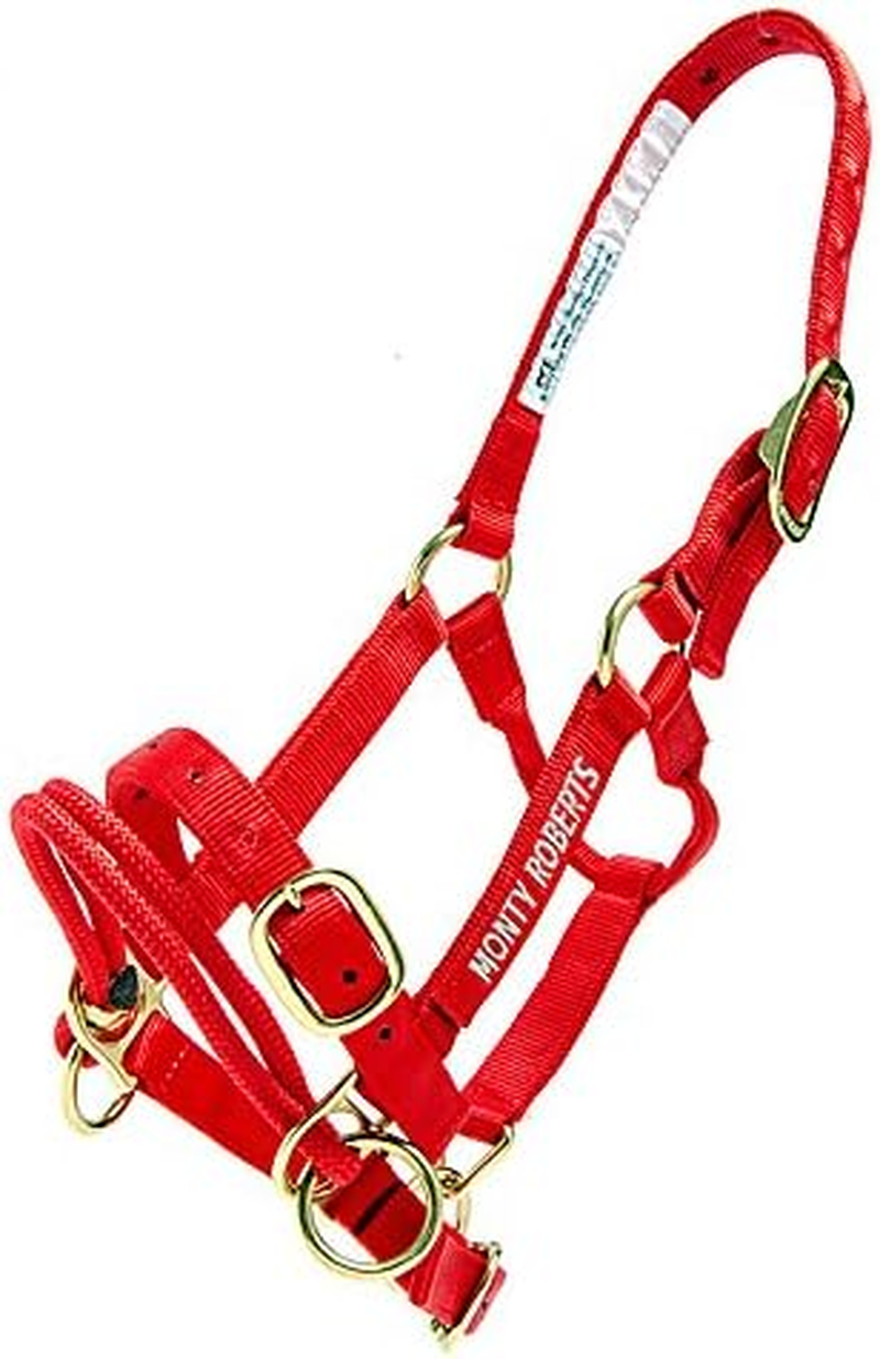 Monty Roberts Dually Headcollar (Small - Red)