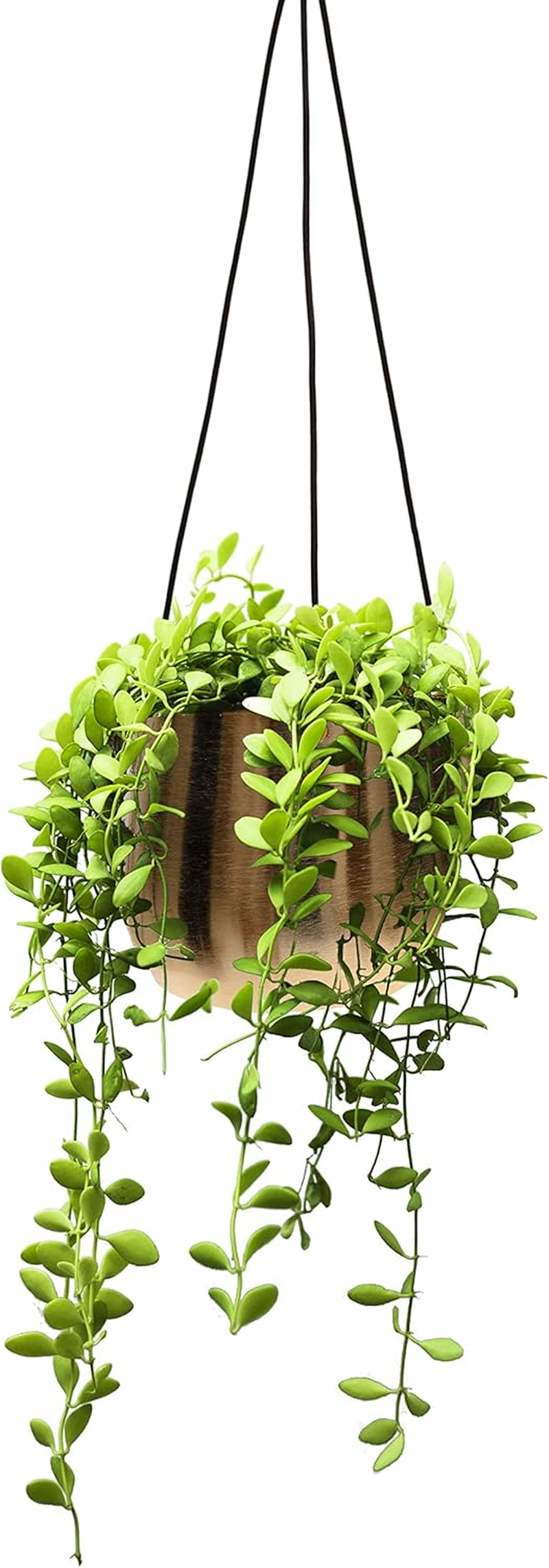 Olly & Rose Gold Hanging Plant Pots Set 2 (Large) image number 7