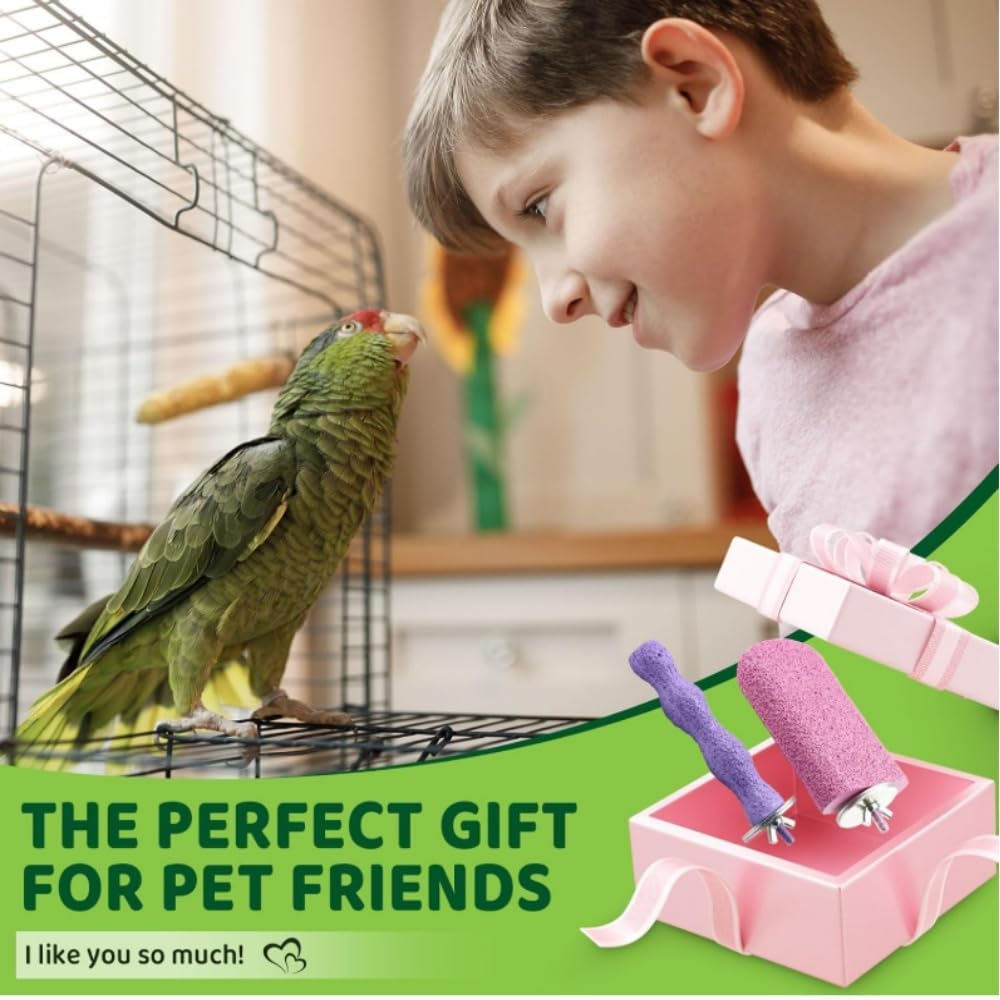 Goxfaca Bird Cage Perch Stand with Grinding Stone, 4-Piece Platform Set, Claw Trimmer for Budgies, Parakeets, Cockatiels, Conures image number 2