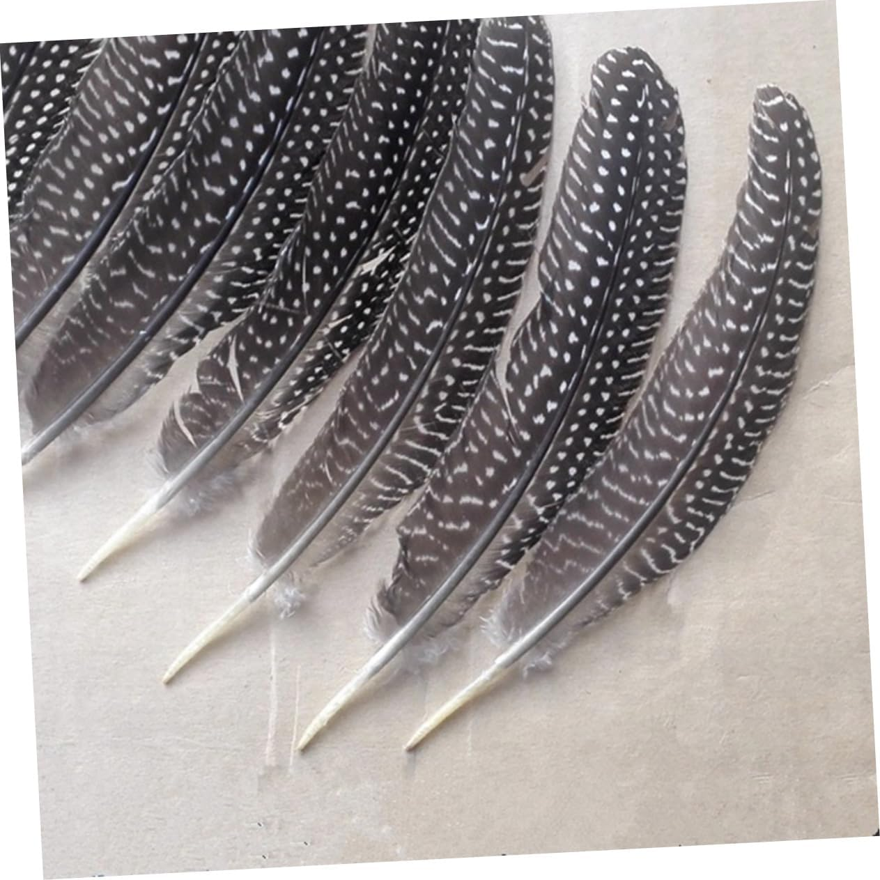 Operitacx 50Pcs Pheasant Feathers Party Decor Natural Feathers Decorate Fan Pearl