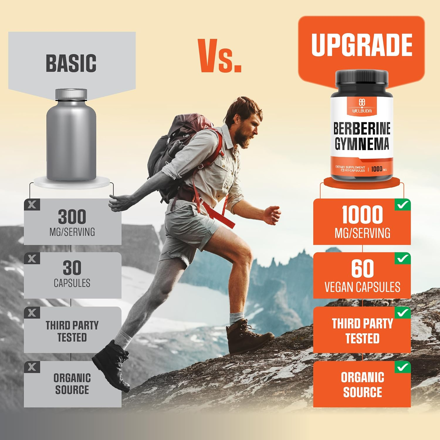 Berberine Supplement with Gymnema Sylvestre Leaf - 60 Capsules