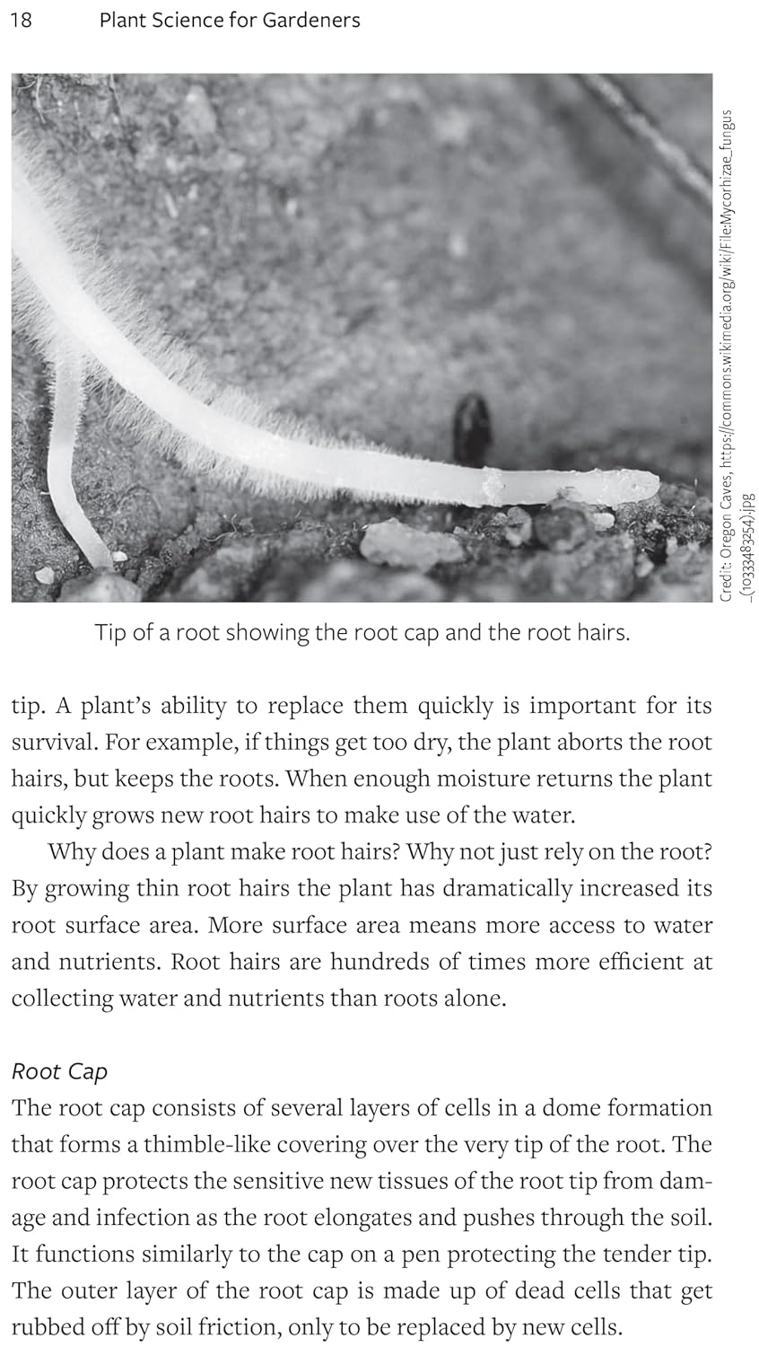 Plant Science for Gardeners: Essentials for Growing Better Plants: 2 image number 2