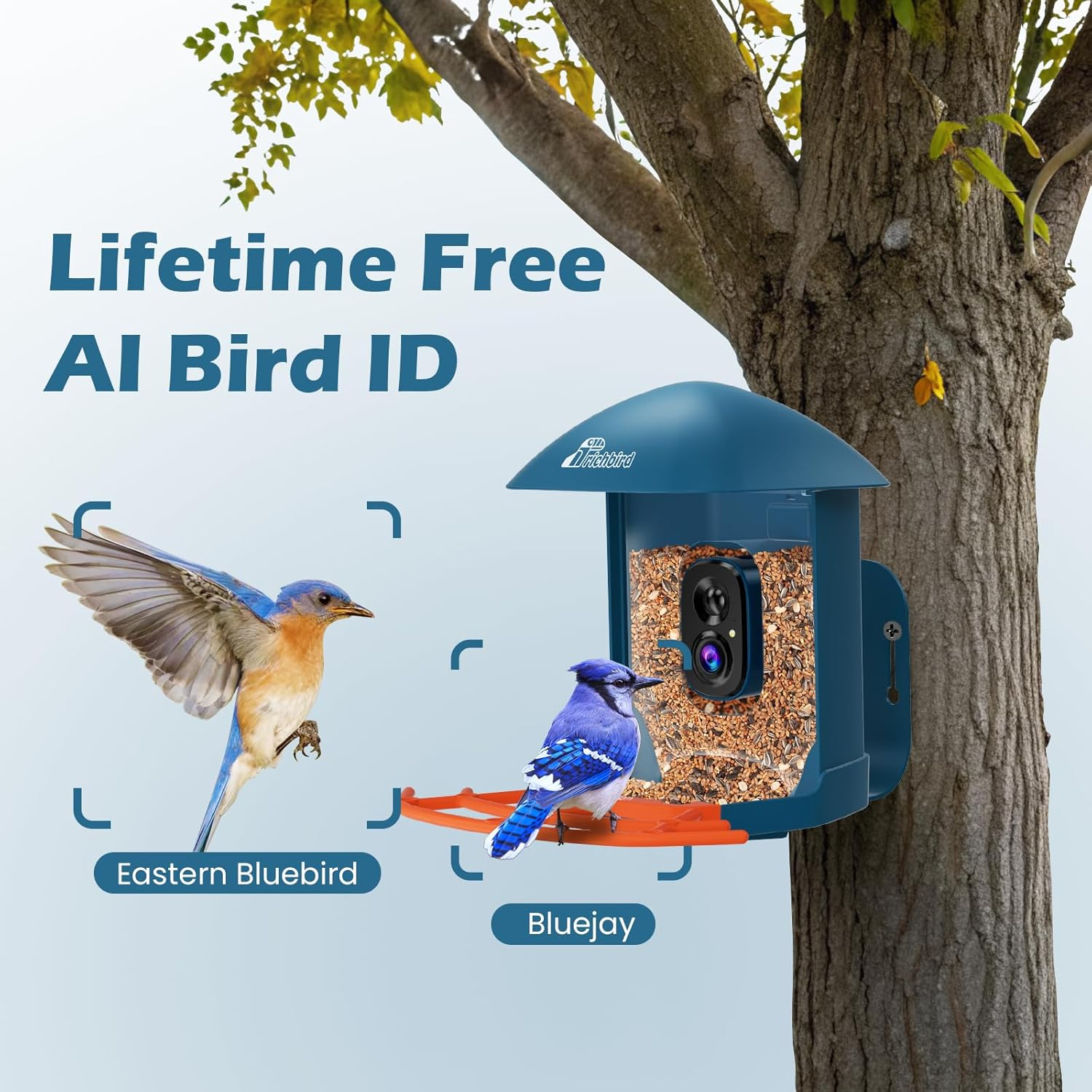 Smart Bird Feeder with Camera, 2K HD Birdwatching Camera with AI Identify Bird Species & Solar Panel, Auto Video Capture & Instant Notifications, Ideal Gifts for Lover, Deep Blue - Green image number 5