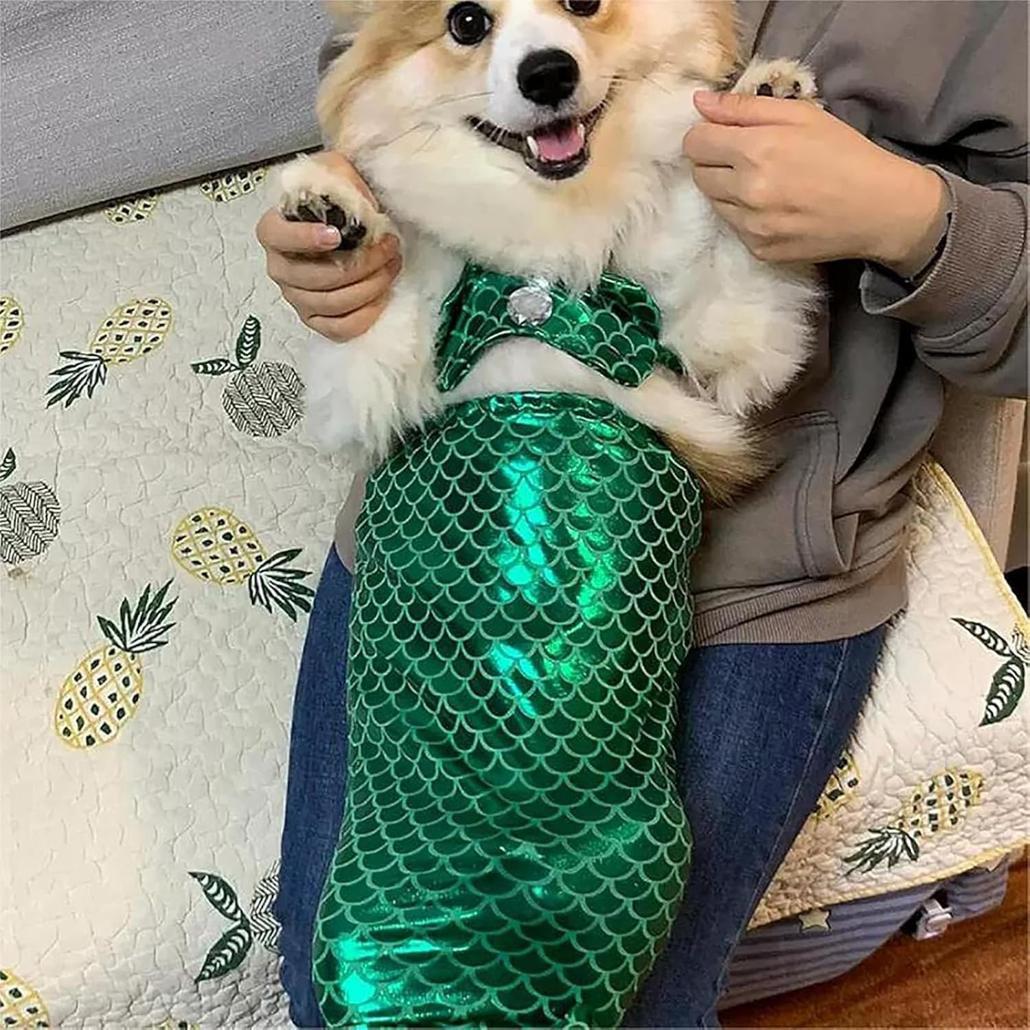 Cat Mermaid Costume - Mermaid Costume for a Small Dog or Cat, Mermaid Cat Costume, Cat Mermaid Outfit, Cat Mermaid Tail, Mermaid Costume for Cat, Funny Mermaid Cat Clothing (S,Green)