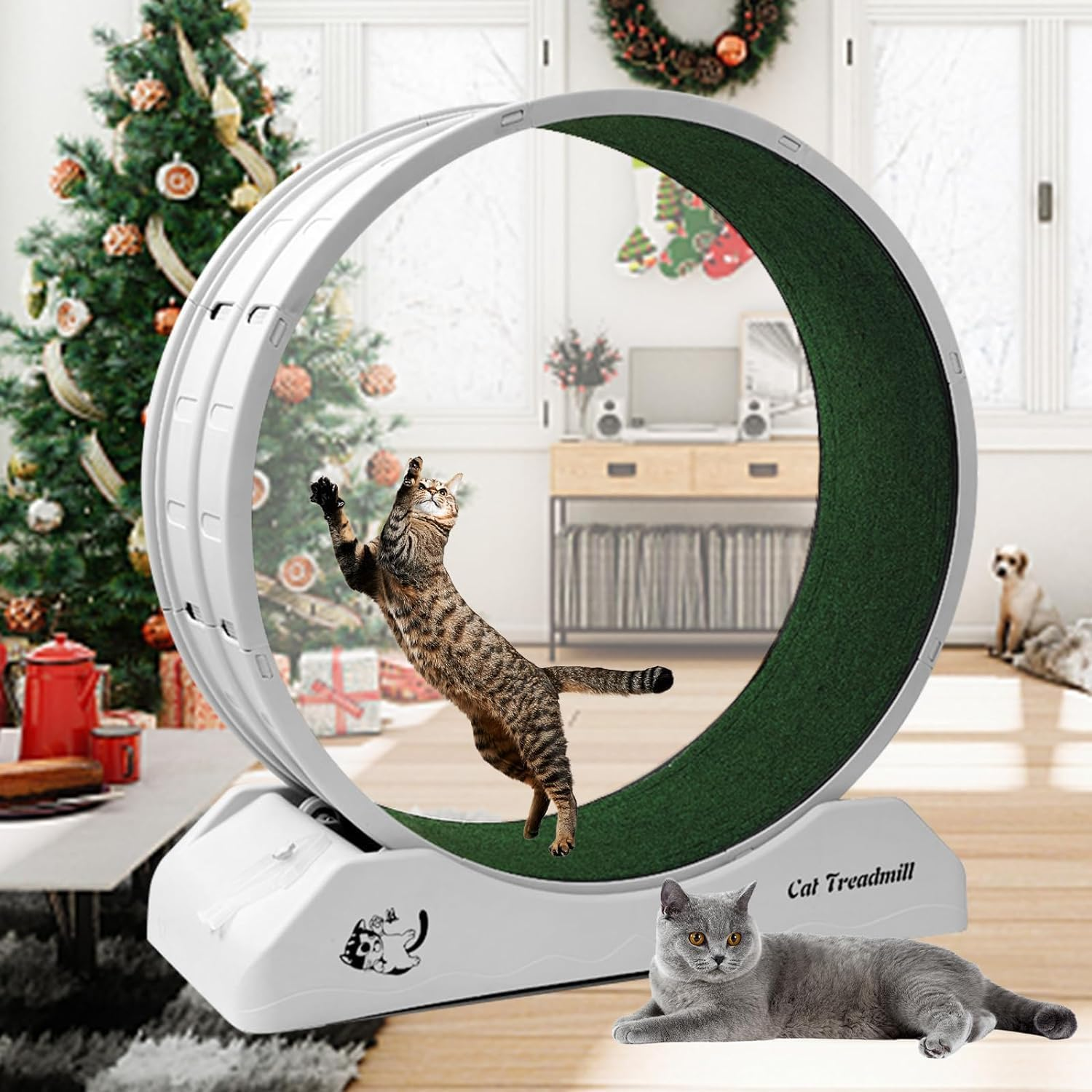 Homodoskey Cat Exercise Wheel Cat Wheels for Indoor Cats, Cat Running Wheel with Carpeted Runway, Cat Treadmill Wheel Exerciser for Kitty&rsquo;S Longer Life, Plastic Cat Wheel for Fitness Weight image number 6