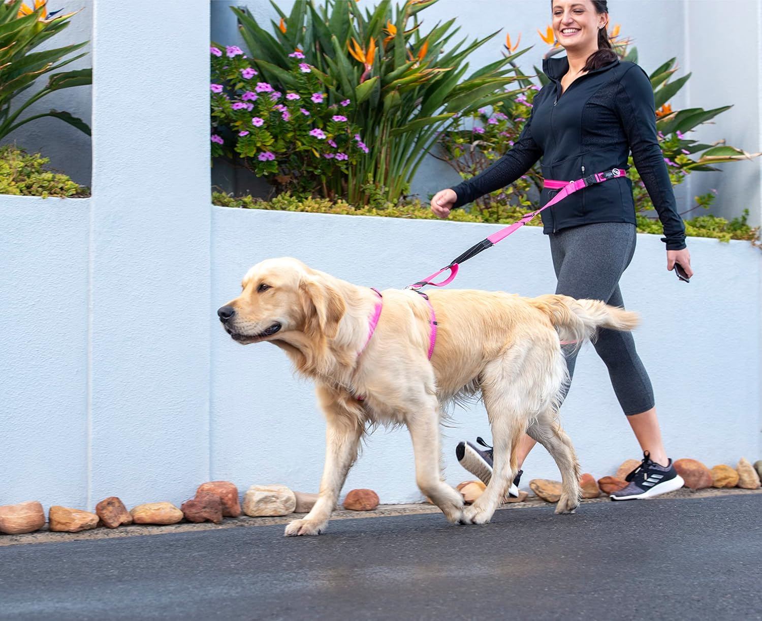 Rogz Classic Handsfree Dog Leads Black Medium image number 5