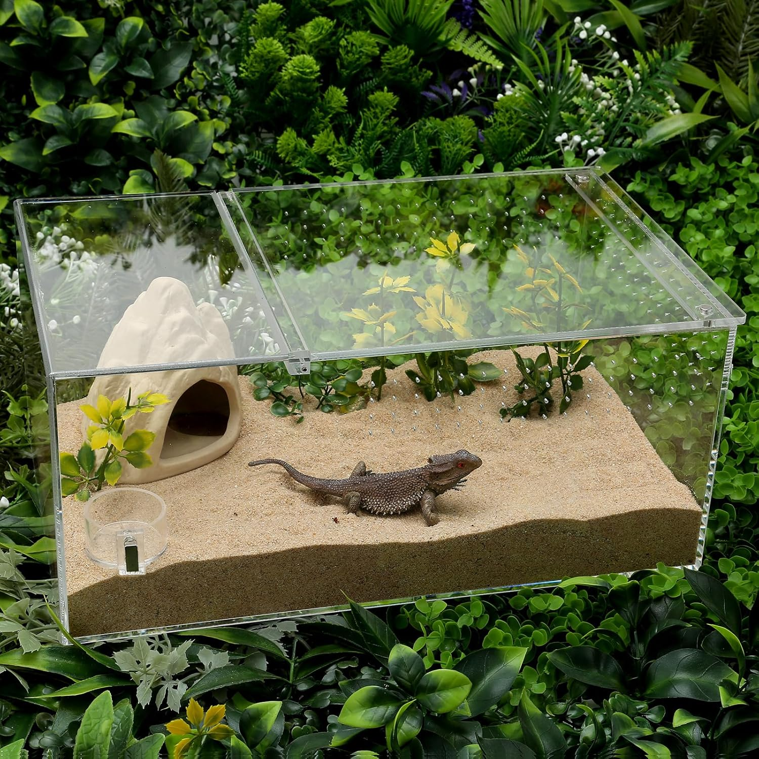 Tarantula Food Bowl Water Dish, Jumping Spider Feeding Dish, Enclosure Accessories, Feeder for Insect, Praying, Mantis Habitat, Butterfly, Bug image number 3