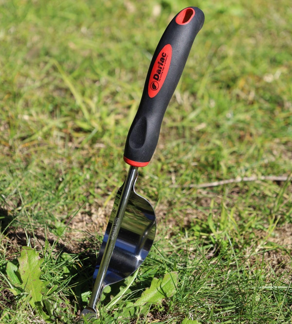 Darlac Daisy Grubber Weeder Garden Weeding Tool Stainless Steel image number 5