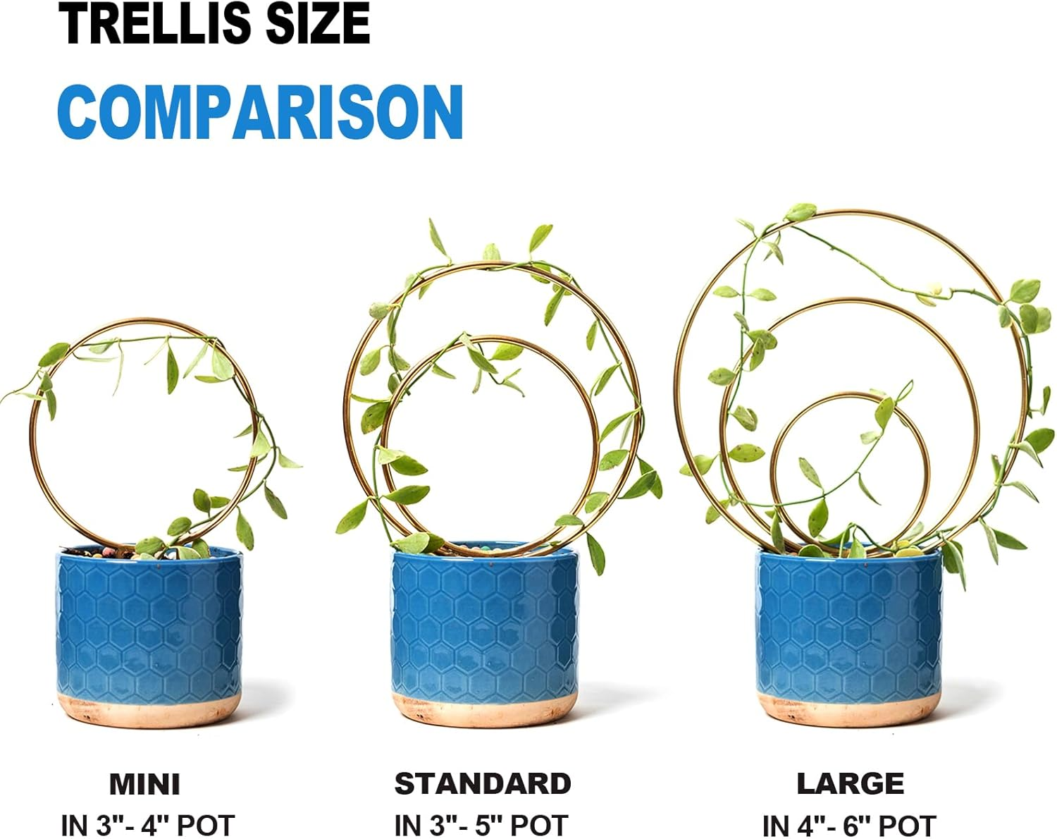 Hoya Trellis- Metal Plant Trellis Indoor 3-Pack for Climbing Plants - Gold Small Garden Trellis for Ivy and Flowers - Unique Patterns - Outdoor Potted Plant Support image number 1