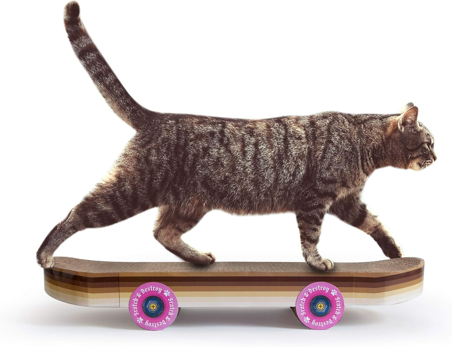 Suck UK Scratching Board Cat Skateboard, 0.6 Kg image number 5