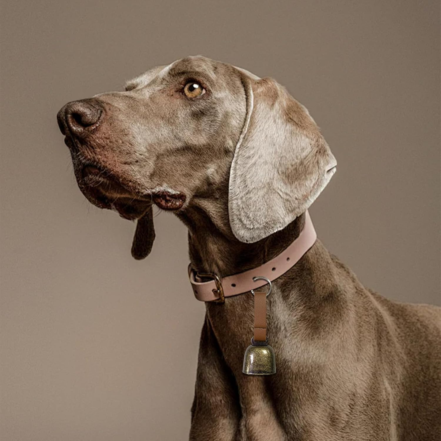 Small Cow Bell for Dog Collar with Leather Strap, Bear Warning Bell, Loud Cowbell, Anti-Lost Grazing Copper Training Bells, Pet Tracker Noise Maker for Puppies Cat Horse Sheep Goat - 4 Pack image number 4