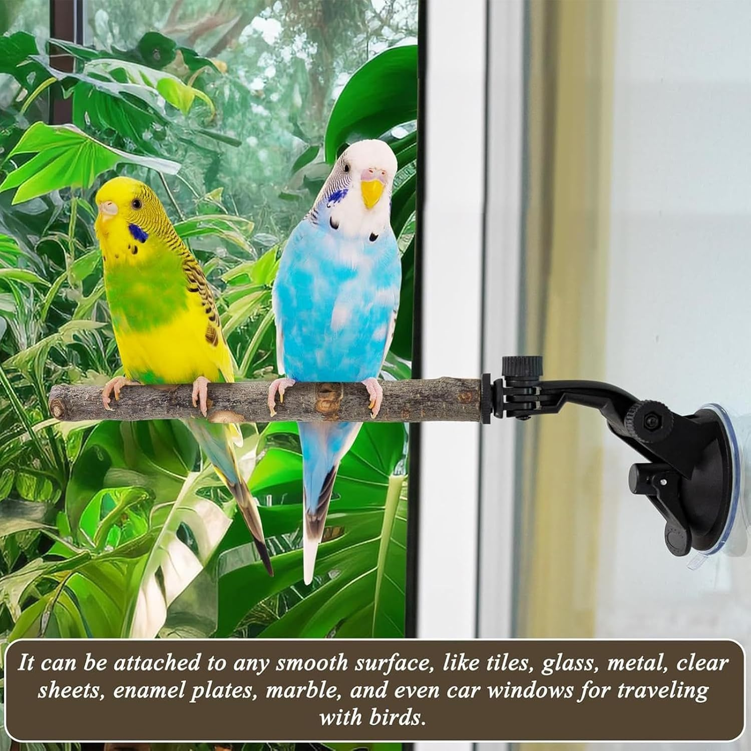 Suction Cup Bird Perch | Adjustable Stand Toy for Training,Wood Window Suction Cup Bird Perch Toy | for Balcony Apartment Patio Porch Tree Shower Wall Mirror image number 6