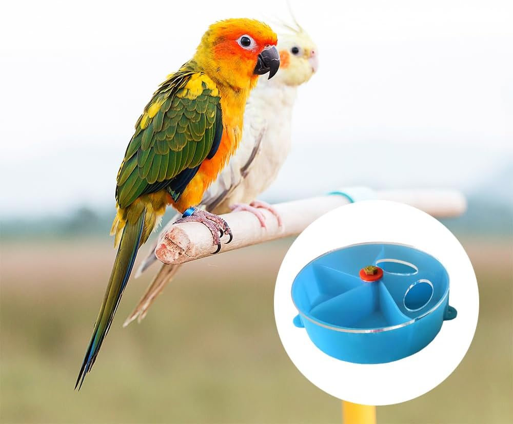 Bird Creative Foraging, System Wheel Seed Food Ball, Bird Foraging Toys,Creative Parrot Food Tray,Parrot Wheel Feeder, Compartmented Food Box for Small and Medium Parrots (Transparent) image number 4
