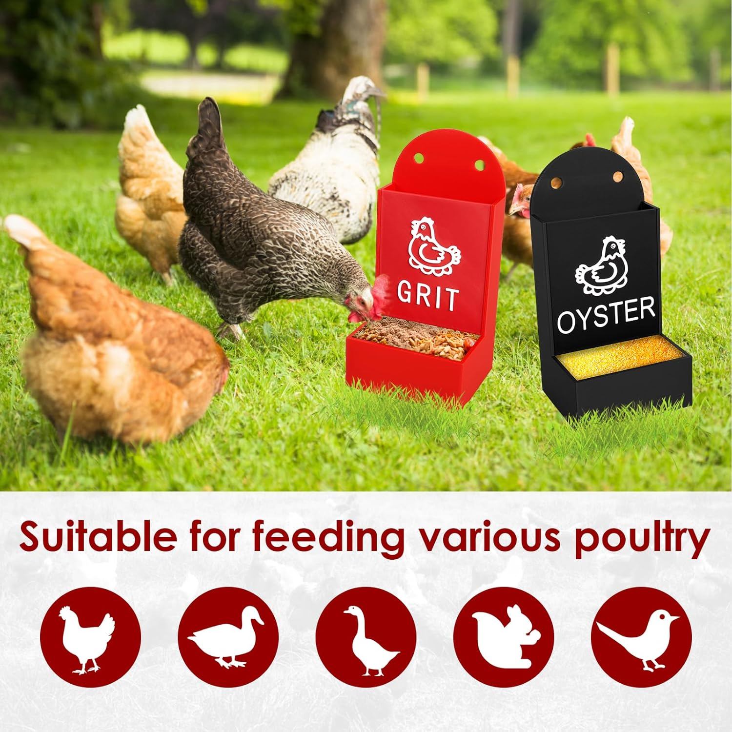 Rdjeokf Chicken Grit and Oyster Shell Feeder, Accessories, outside Waterer, Poultry Feeding Equipment, Snack Bowl,Pet Feeding Equipment, for Hens Ducks Birds and Goats (02) image number 1