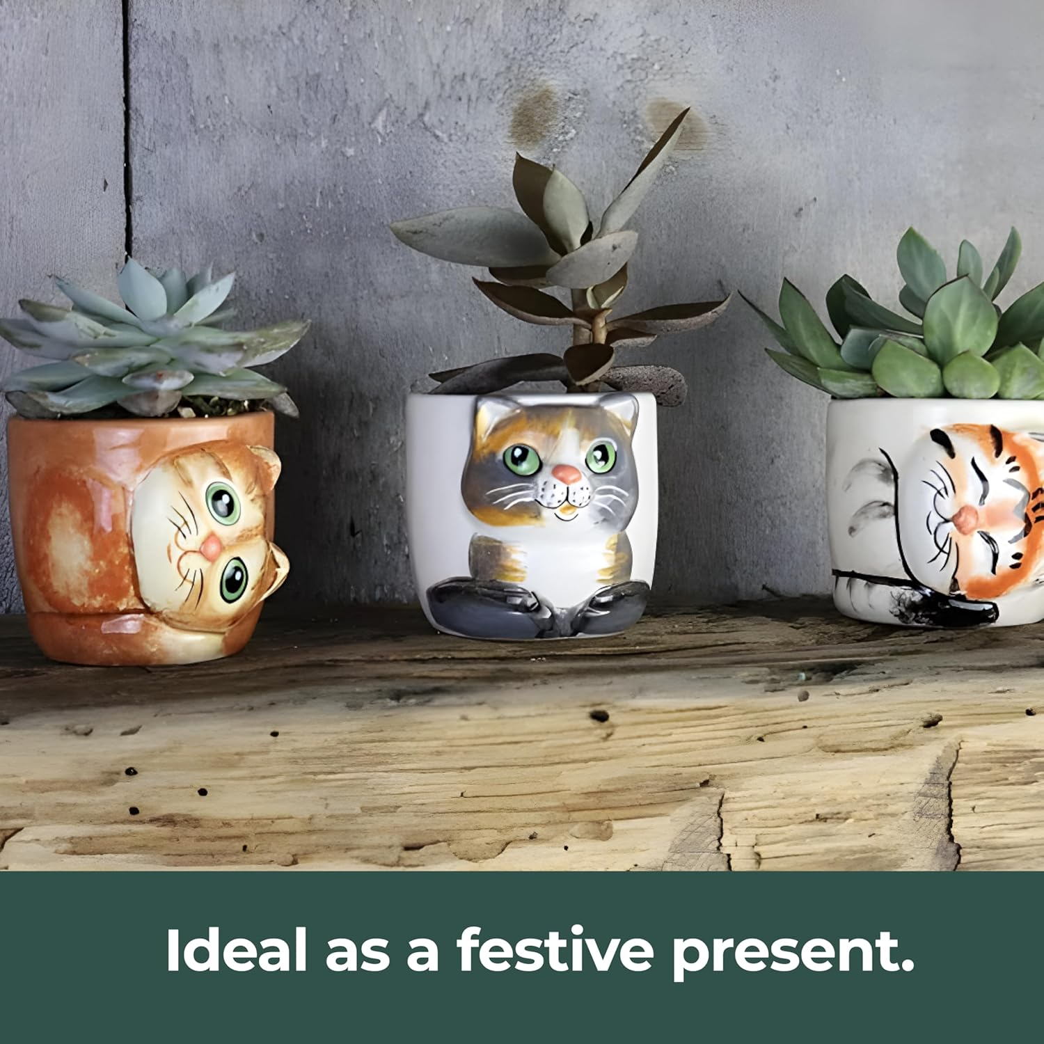 Window Garden Cute Cat Planter Pot - 6 Mini 3" Succulent Kitty Pots - Cute Flower Pots for Indoor Plants - Cat Decor Vase for Cactus, Herb image number 6