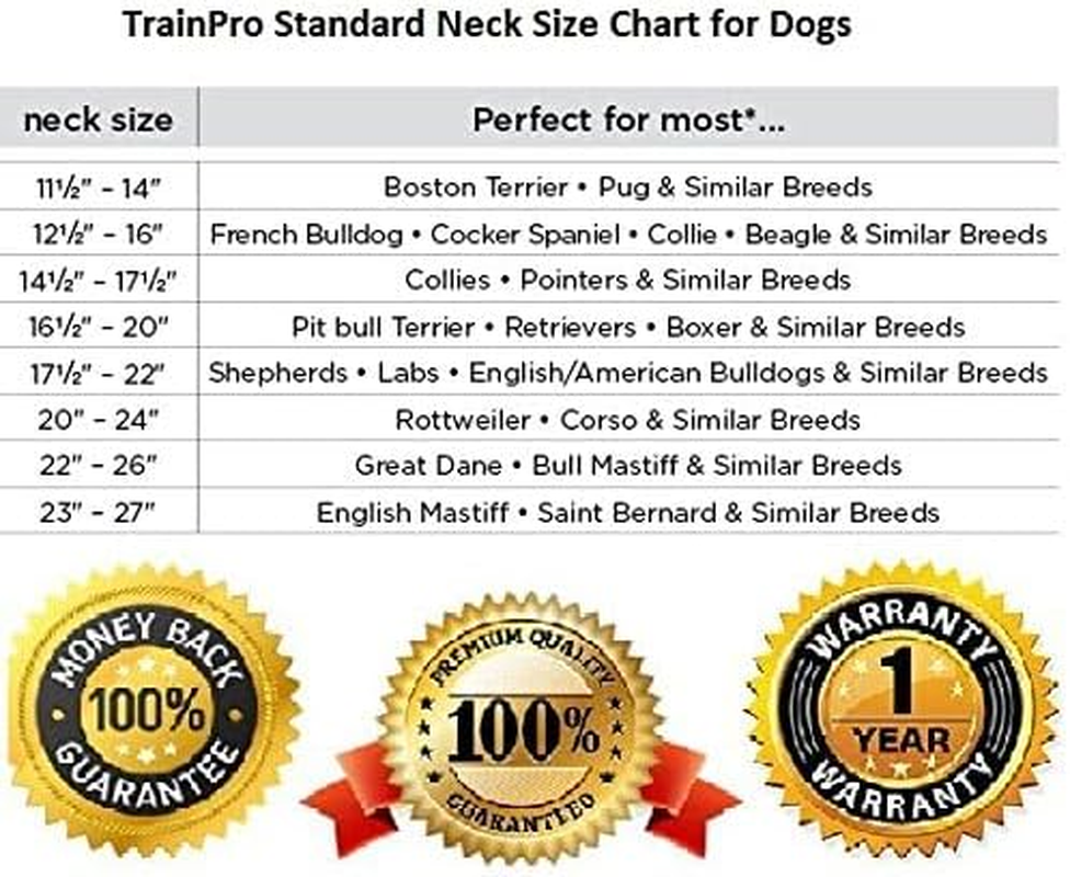 Trainpro Replacement &frac34;&rdquo; Dog Collar Strap Bands with Double Buckle Loop Training for All Brands of Pet Shock Bark E Collars and Fences. - Blue Reflect image number 3