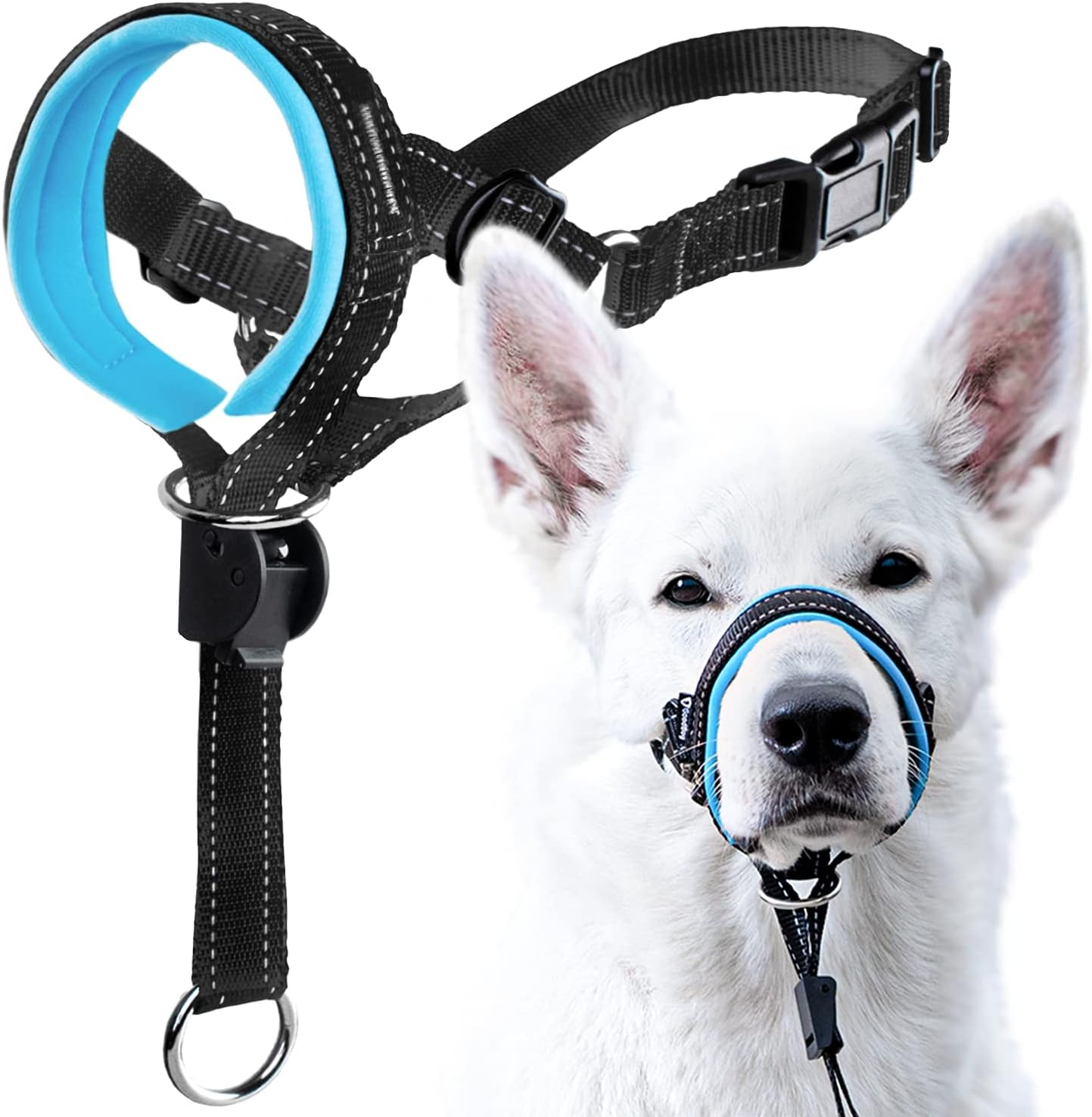 Goodboy Dog Head Halter Blue Nylon (Blue, 2)