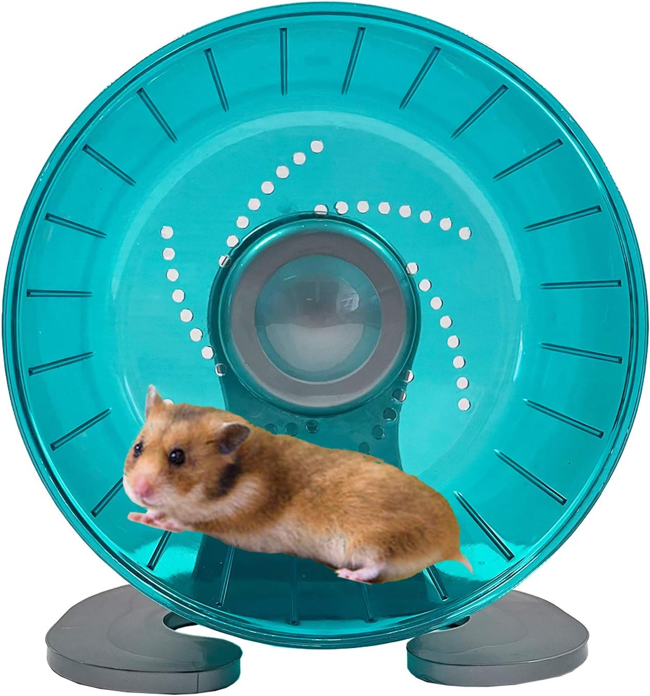 Petest Hamster Exercise Wheel, Silent Spinner Hamster Running Wheels, Diameter 6.7 Inch, Blue