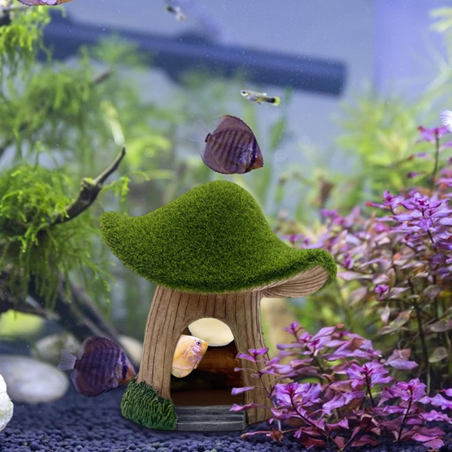 Hjatirace Fish Tank House | Mushroom Green Moss Aquarium House Cave - Fish Shelter Landscape Cave Decor for Live Fish, Pet Shrimp, Reptiles image number 6