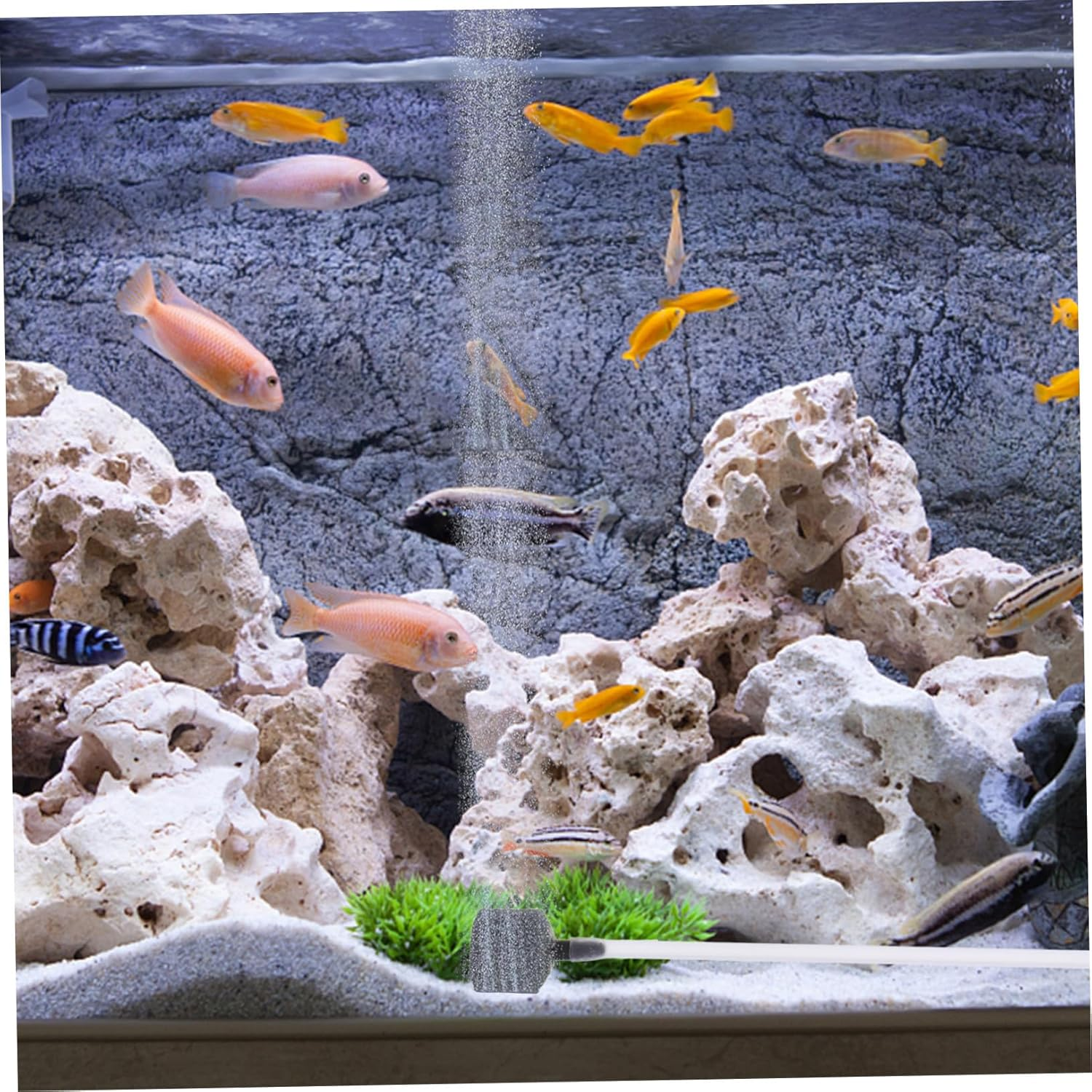 NUOBESTY Mini USB Mute Oxygen Pump for Fish Tank Plastic Aquarium Aerator Compact Air Pump for Home and Outdoor Use Suitable for Various Tank Quiet and Space-Saving Design image number 1