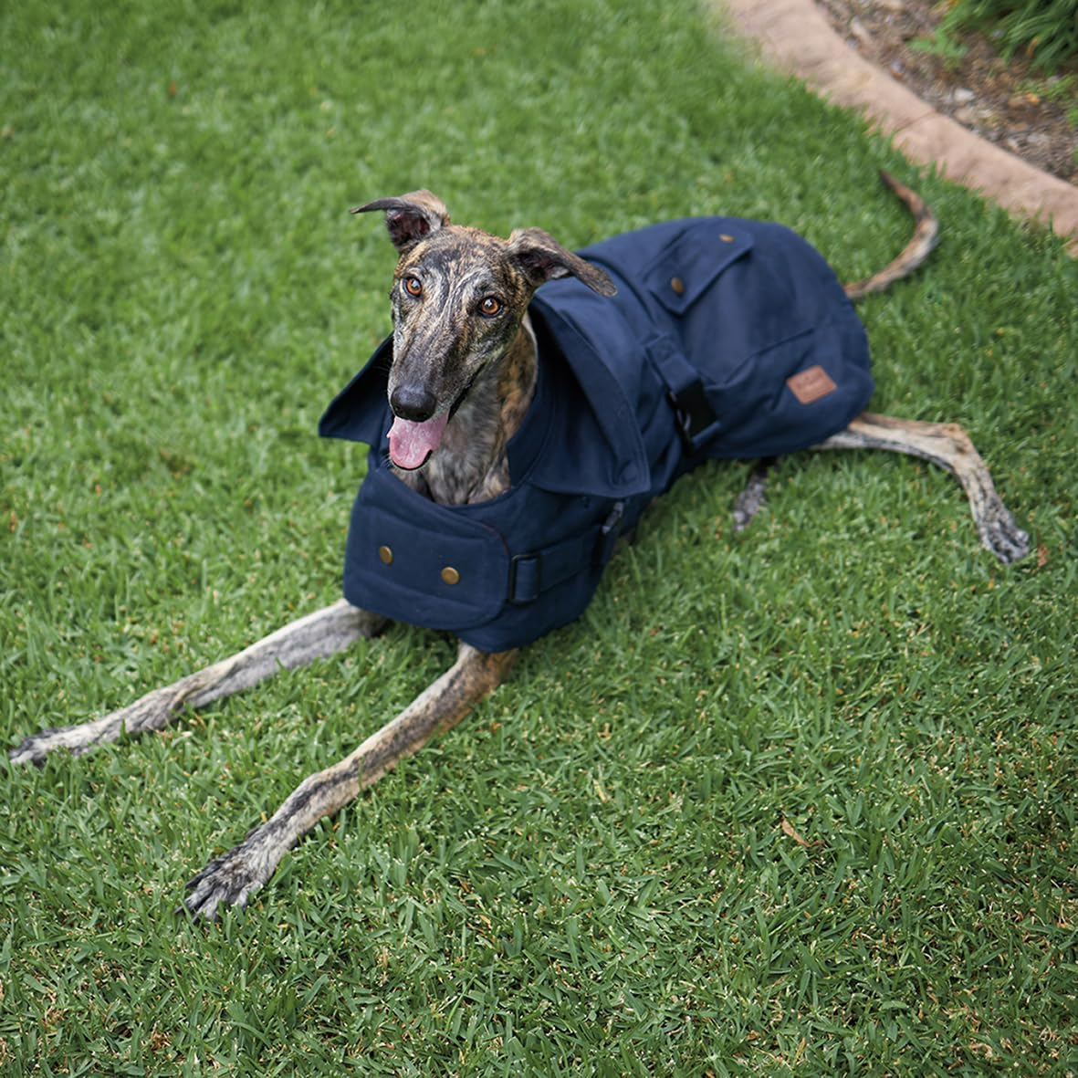 Kazoo Aussie Oilskin Coat for Dogs, Navy, XXS