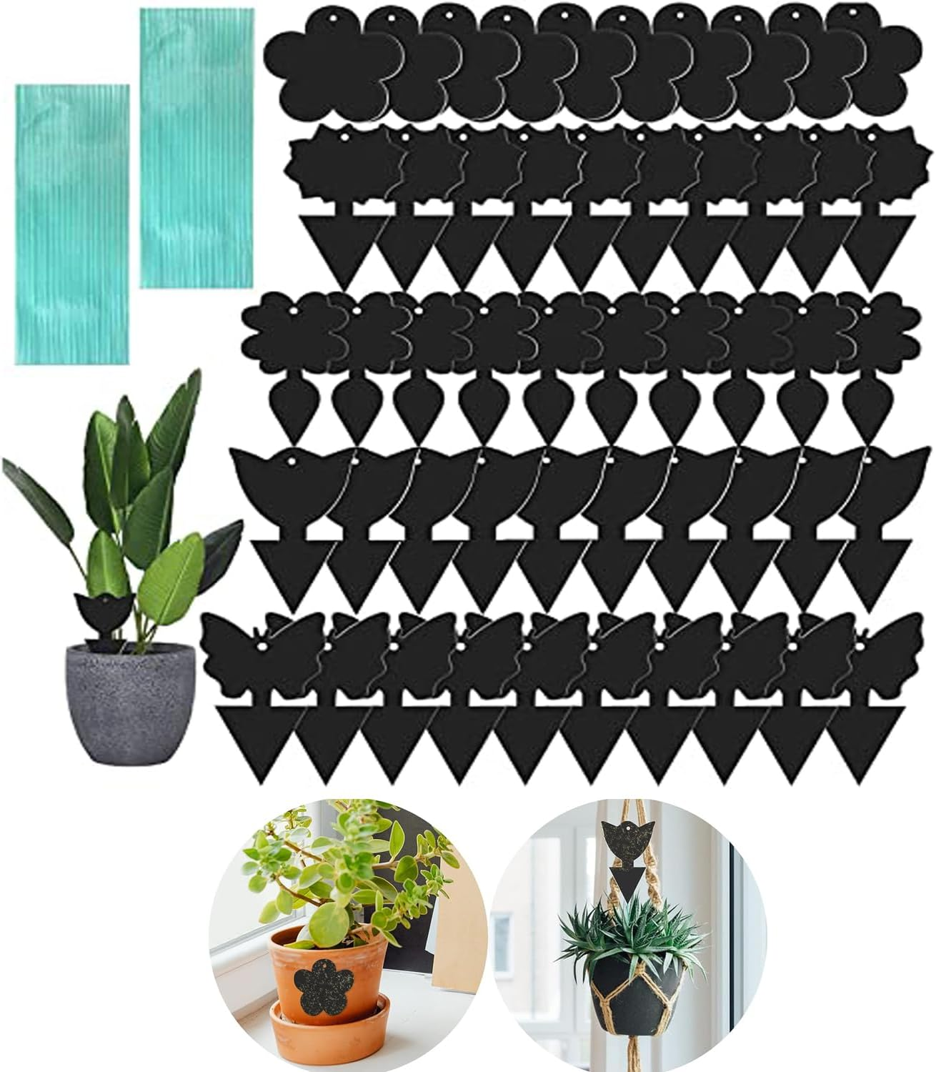 50 Pack Sticky Traps,Fruit Fly Traps Fungus Gnat Traps,Black Sticky Bug Traps Non-Toxic and Odorless for Indoor Outdoor Use Protect the Plant image number 3