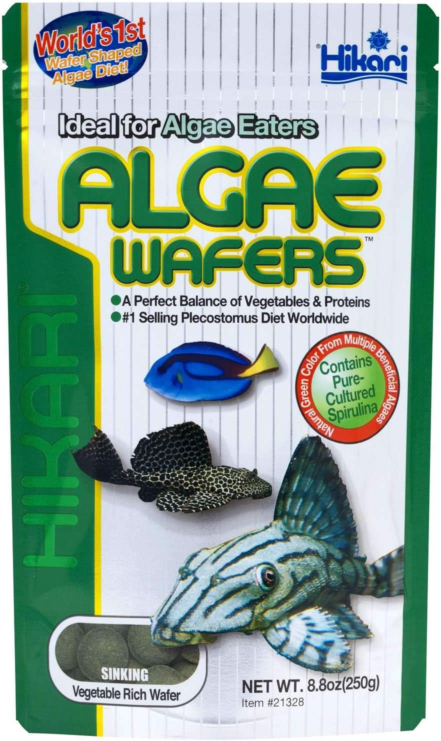 Hikari Algae Wafers 250G Tropical Plecostomus Premium Fish Food Made in Japan