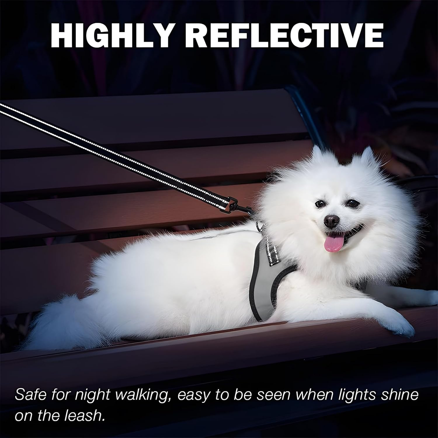 Dog Lead, Heavy Duty Dog Leash,1.5M X2.5CM Reflective Nylon Lead with Padded Handle, Dog Leash with D-Ring and Anti-Entanglement 360&deg; Rotating Hook for Small Medium and Large Dogs (Blue, 1.5 Meter) image number 3