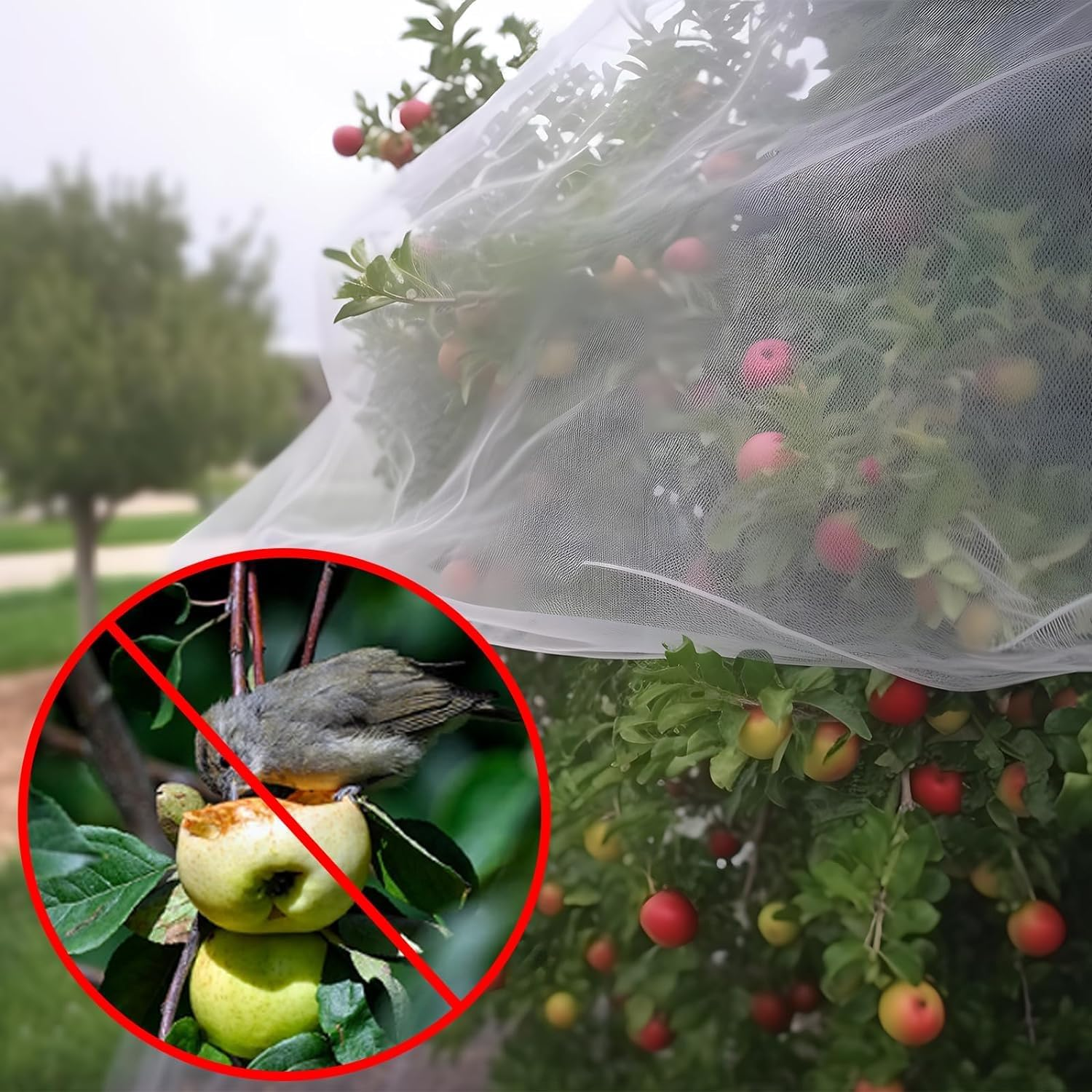 Garden Netting 10X 50Ft,Garden Mesh Barrier,Ultra Fine Protective Mesh,Reusable Plant Cover for Protecting Vegetables, Fruits,Plants Flowers Garden Netting for Raised Beds (Garden Netting) image number 3