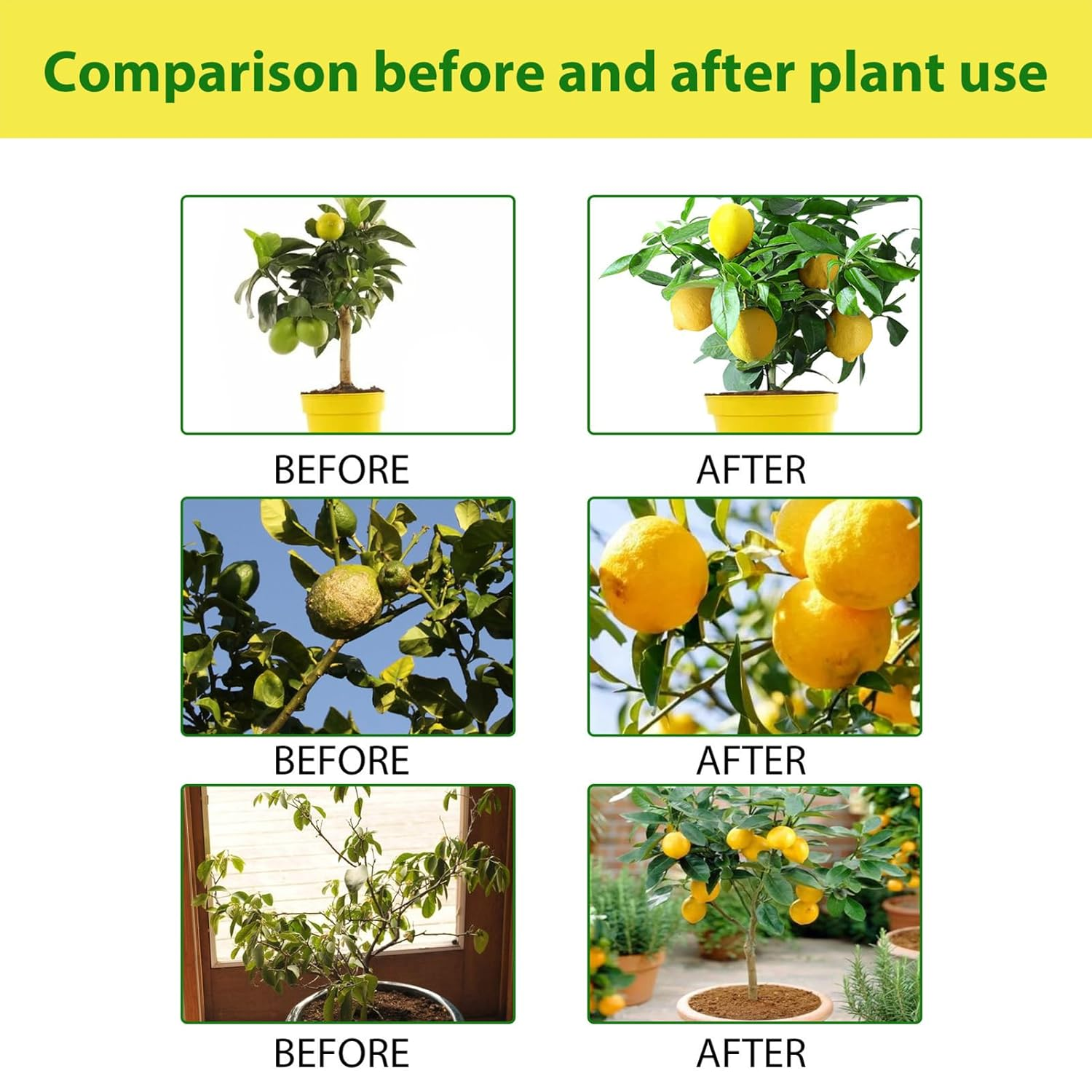 Natural Grower Liquid Fertilizer - Lemon Tree Spray | 100Ml Professional Lemon Tree Spray Mist, Natural Growth, Convenient to Use Liquid for Healthy Leaves and Root Growth image number 2
