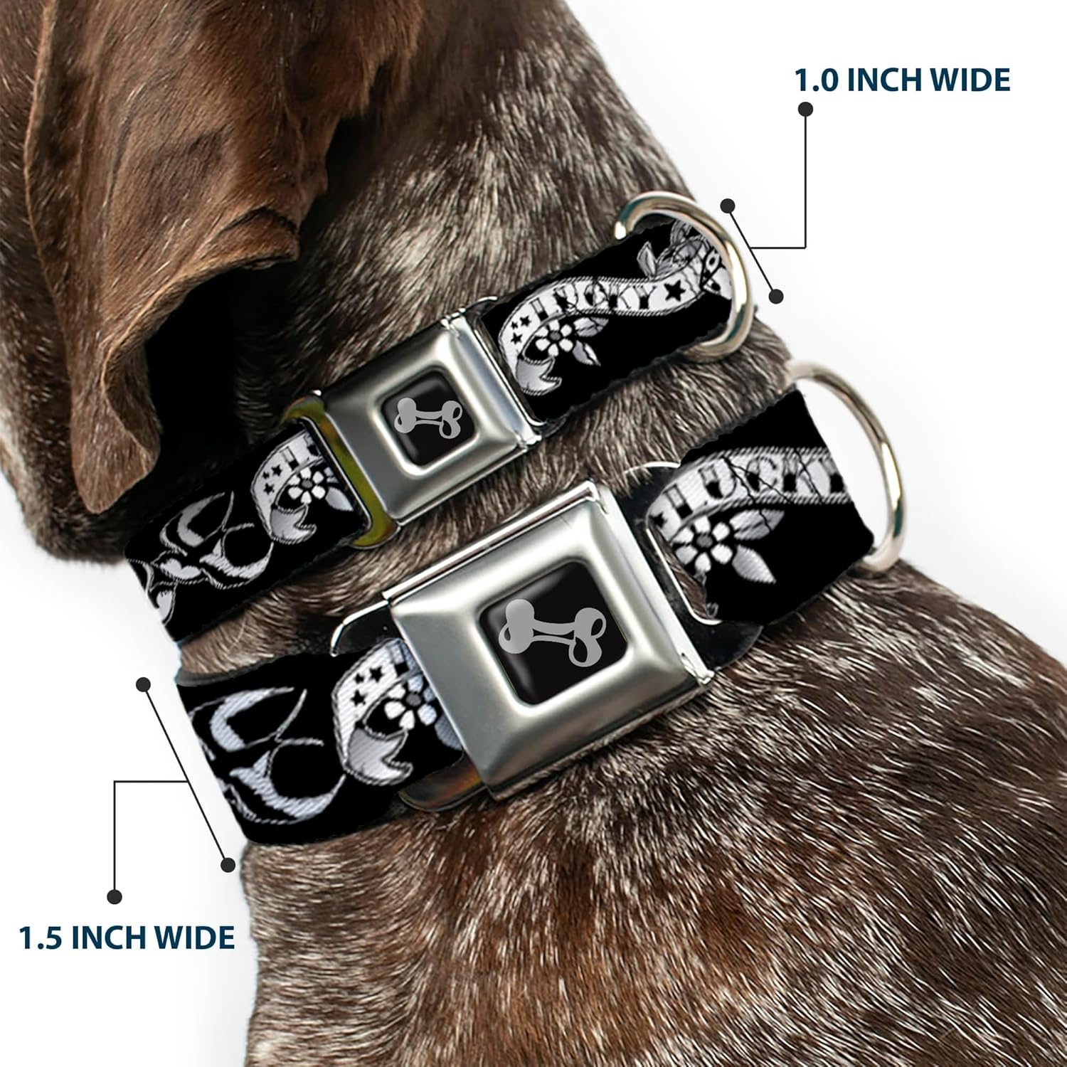 Buckle-Down Seatbelt Buckle Dog Collar - Lucky Black/White - 1" Wide - Fits 15-26" Neck - Large image number 3
