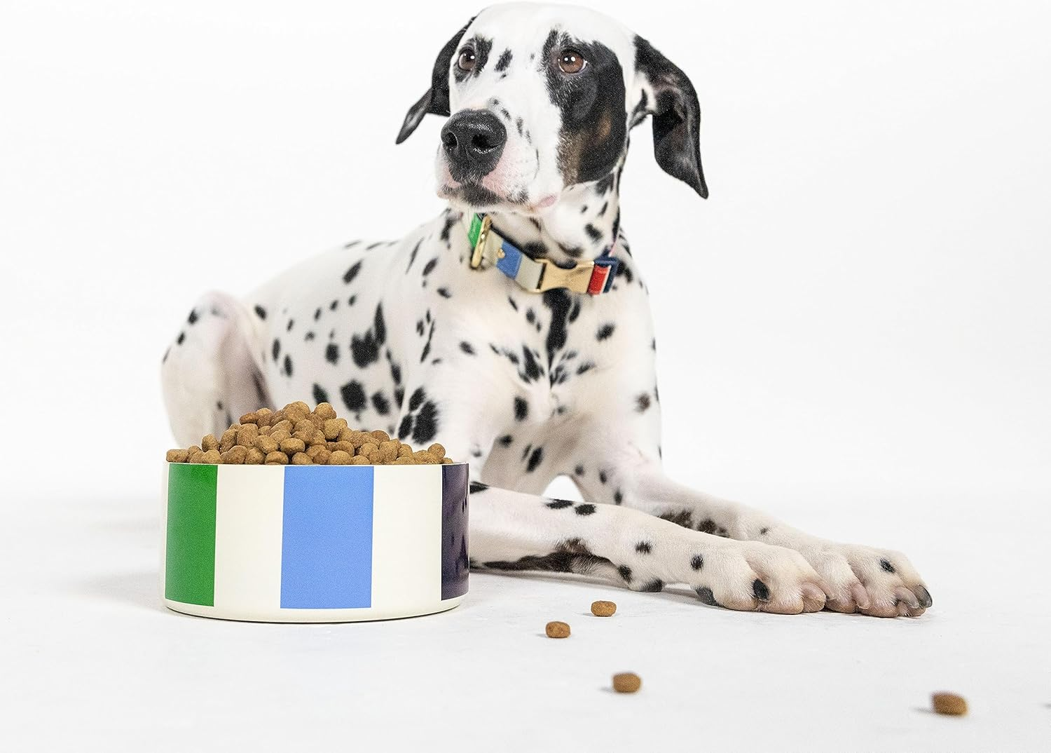 Kate Spade New York Cute Dog Collar, Gold Metal Buckle Dog Collar, 15.5" to 24" Adjustable Dog Collar for Female or Male Dogs, Stylish Dog Collar for Medium and Large Breeds (Adventure Stripe) image number 1