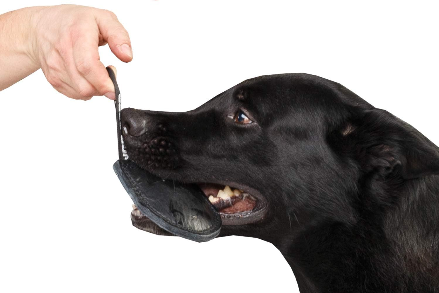 Dingo Gear Bite Tug Genuine Leather Handmade Tough Toy for K9 Dog Training and Play S00229, Black image number 1